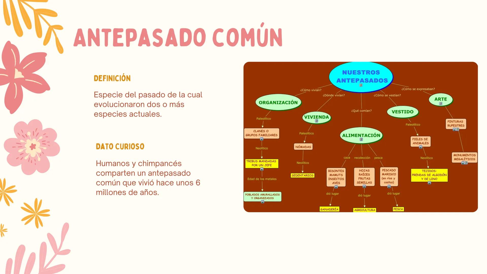 # ERAS
GEOLOGICAS
LIA MORENO Y ANA BUITRAGO 902 • Cambio
• Mutación
ÍNDICE
• Adaptación
• Diversidad
• Especiación
• Extinción
• Dinosauri