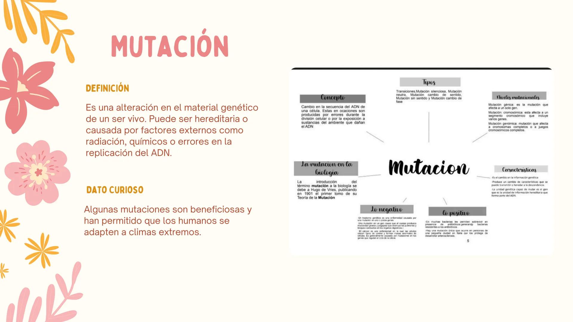 # ERAS
GEOLOGICAS
LIA MORENO Y ANA BUITRAGO 902 • Cambio
• Mutación
ÍNDICE
• Adaptación
• Diversidad
• Especiación
• Extinción
• Dinosauri