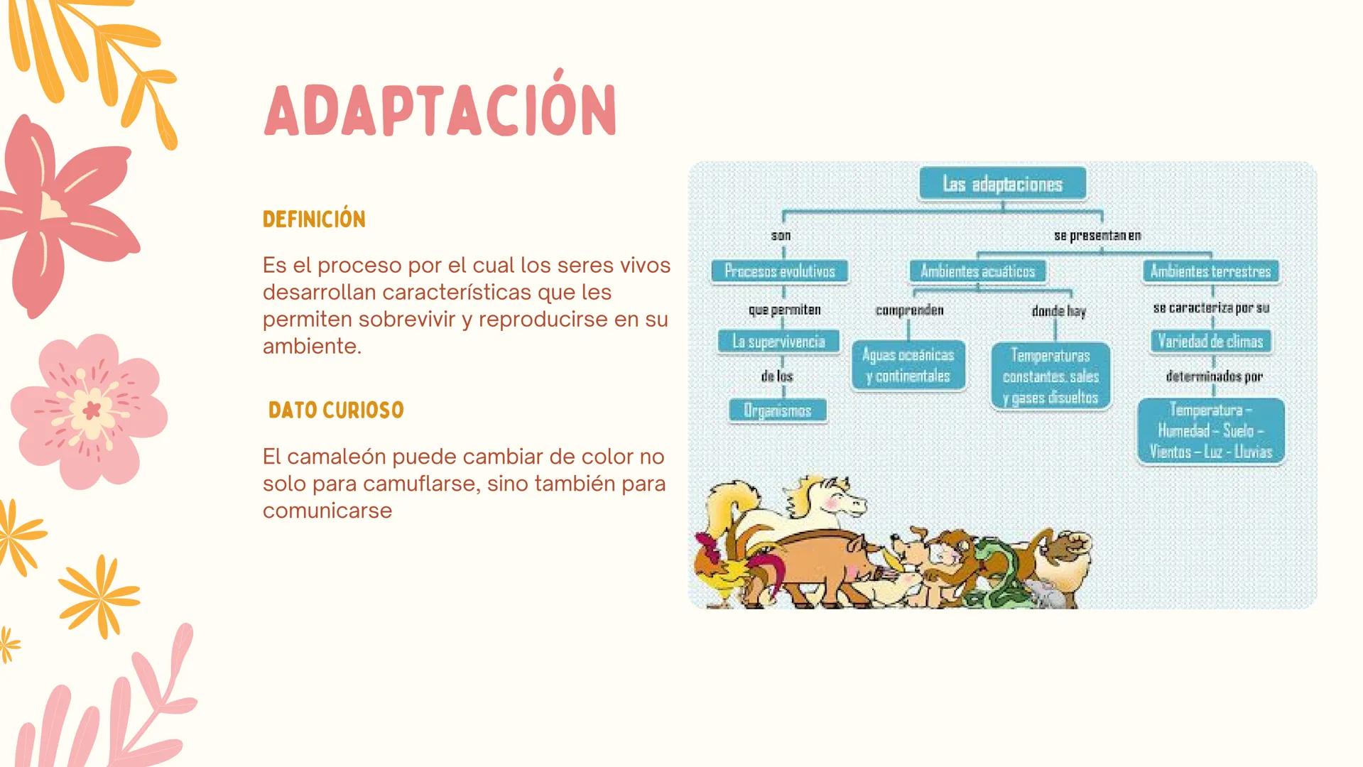# ERAS
GEOLOGICAS
LIA MORENO Y ANA BUITRAGO 902 • Cambio
• Mutación
ÍNDICE
• Adaptación
• Diversidad
• Especiación
• Extinción
• Dinosauri