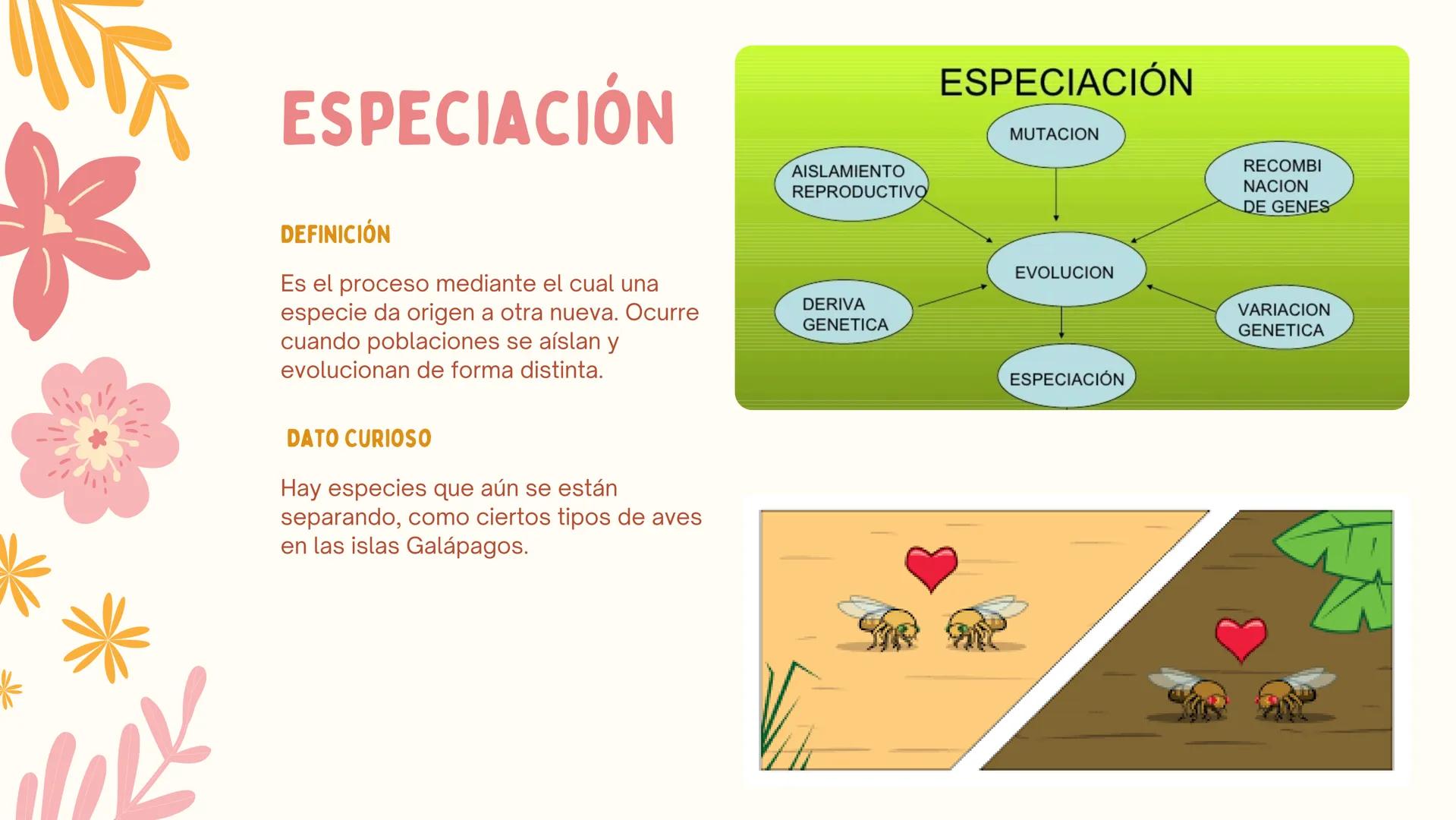 # ERAS
GEOLOGICAS
LIA MORENO Y ANA BUITRAGO 902 • Cambio
• Mutación
ÍNDICE
• Adaptación
• Diversidad
• Especiación
• Extinción
• Dinosauri