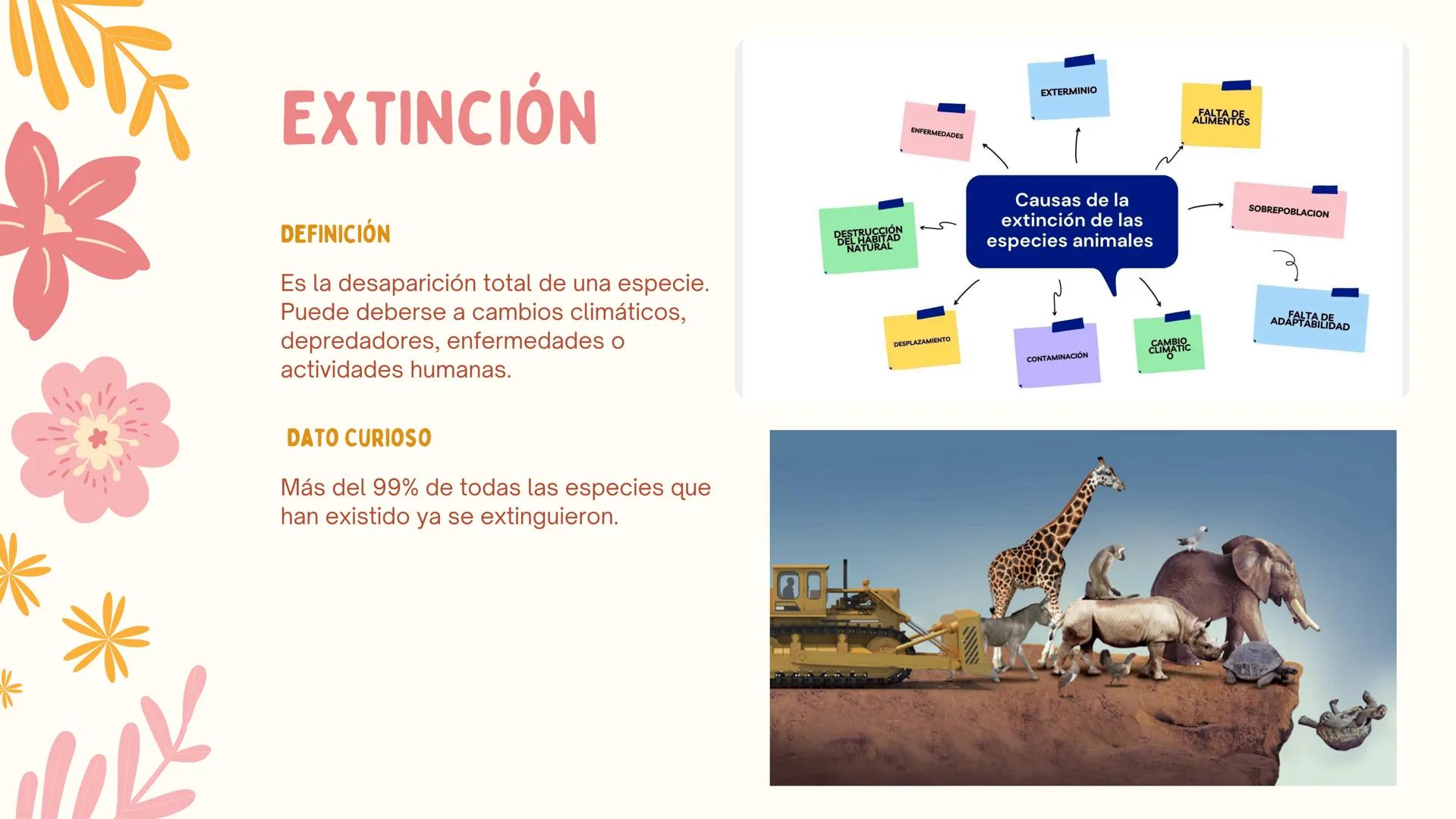 # ERAS
GEOLOGICAS
LIA MORENO Y ANA BUITRAGO 902 • Cambio
• Mutación
ÍNDICE
• Adaptación
• Diversidad
• Especiación
• Extinción
• Dinosauri