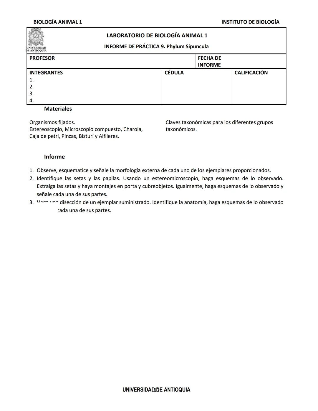BIOLOGÍA ANIMAL 1
Generalidades
Práctica de Laboratorio
8. Phylum Annelida
El phylum Annelida son gusanos segmentados. Su
nombre proviene