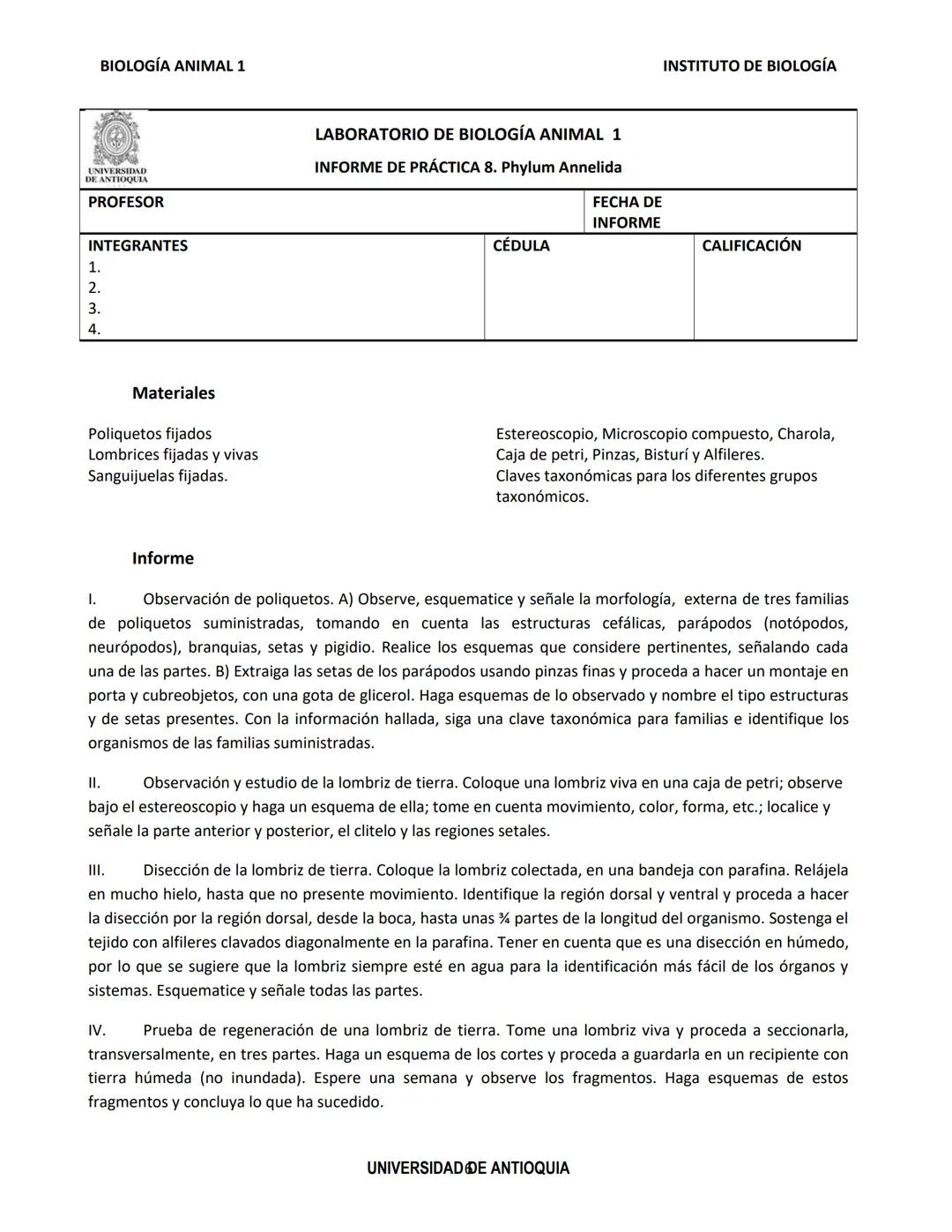 BIOLOGÍA ANIMAL 1
Generalidades
Práctica de Laboratorio
8. Phylum Annelida
El phylum Annelida son gusanos segmentados. Su
nombre proviene
