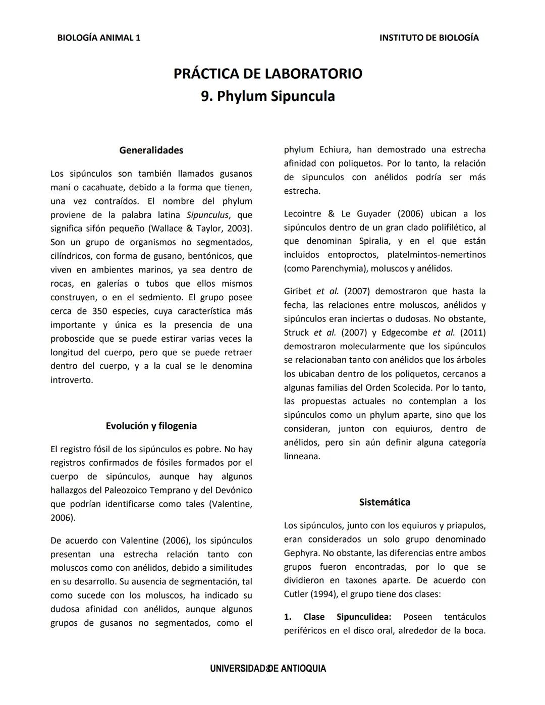 BIOLOGÍA ANIMAL 1
Generalidades
Práctica de Laboratorio
8. Phylum Annelida
El phylum Annelida son gusanos segmentados. Su
nombre proviene