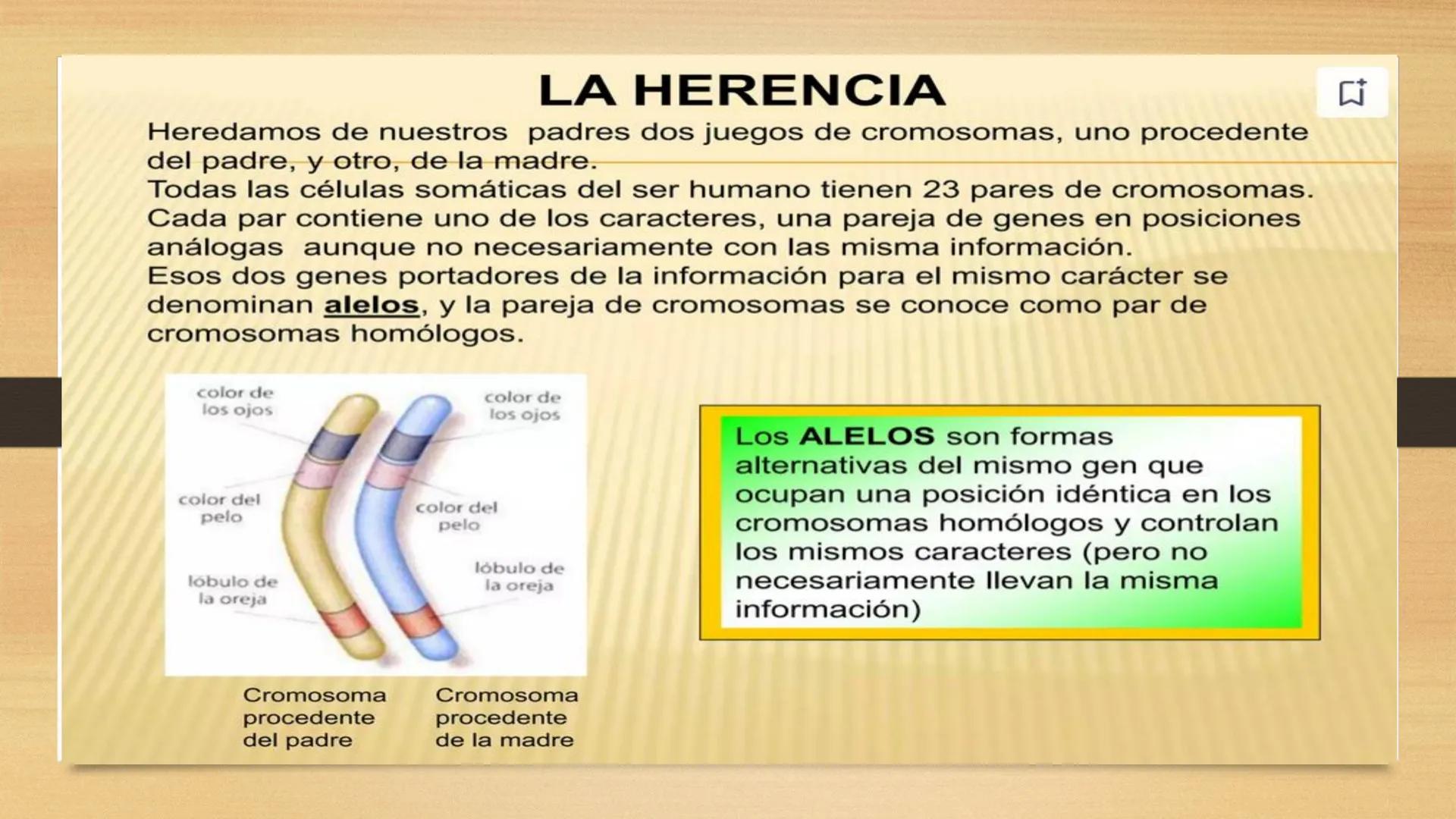 # GENTICA
MSC CLAUDIA YANETH DIAZ
MICROBIOLOGA Por qué no nace
un bebé a través
un tomate?
¿Cómo explicamos
los parecidos dentro
¿Por qué u