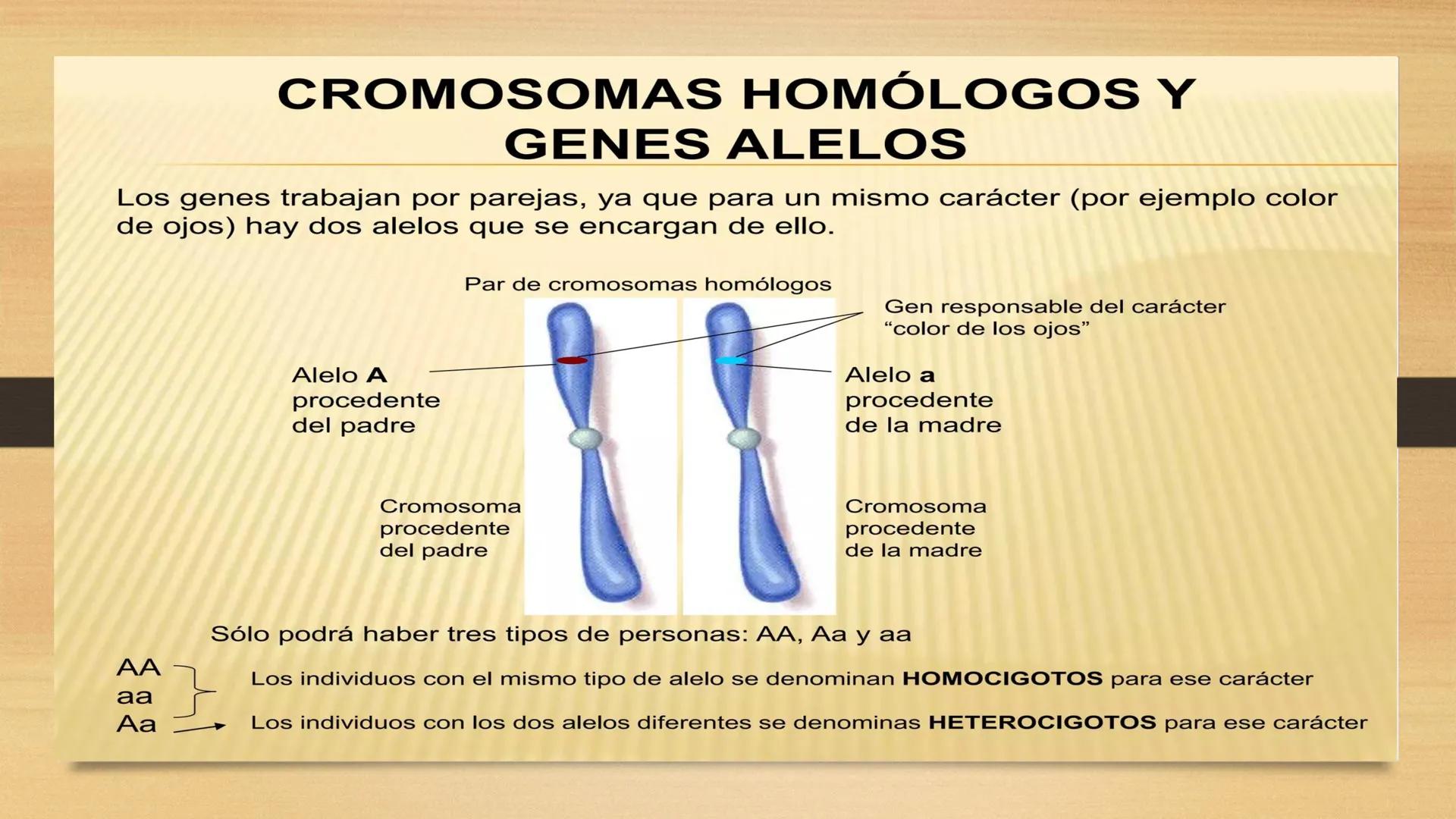# GENTICA
MSC CLAUDIA YANETH DIAZ
MICROBIOLOGA Por qué no nace
un bebé a través
un tomate?
¿Cómo explicamos
los parecidos dentro
¿Por qué u
