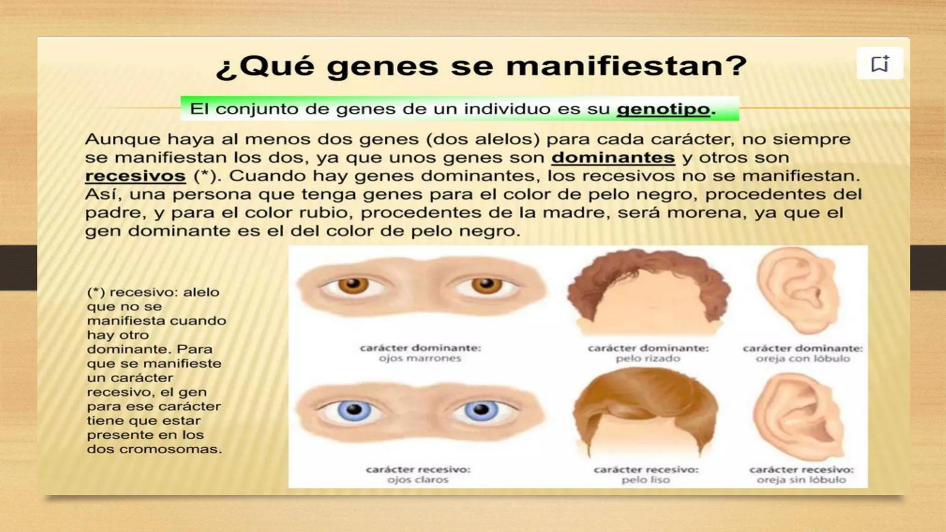 # GENTICA
MSC CLAUDIA YANETH DIAZ
MICROBIOLOGA Por qué no nace
un bebé a través
un tomate?
¿Cómo explicamos
los parecidos dentro
¿Por qué u