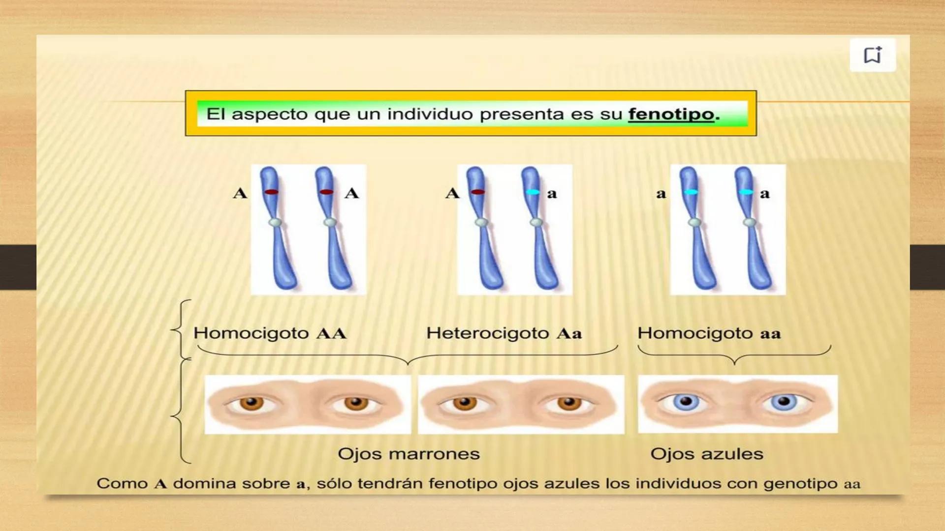 # GENTICA
MSC CLAUDIA YANETH DIAZ
MICROBIOLOGA Por qué no nace
un bebé a través
un tomate?
¿Cómo explicamos
los parecidos dentro
¿Por qué u