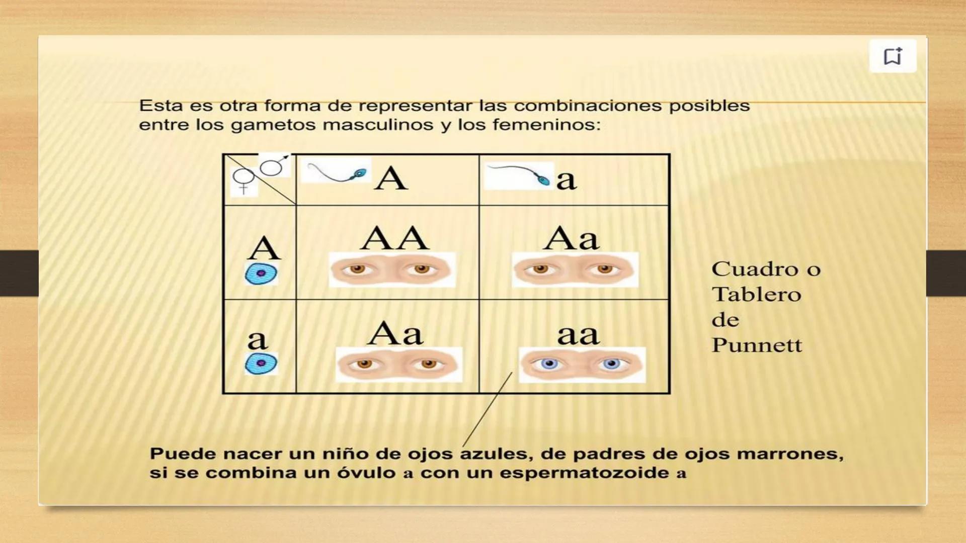# GENTICA
MSC CLAUDIA YANETH DIAZ
MICROBIOLOGA Por qué no nace
un bebé a través
un tomate?
¿Cómo explicamos
los parecidos dentro
¿Por qué u
