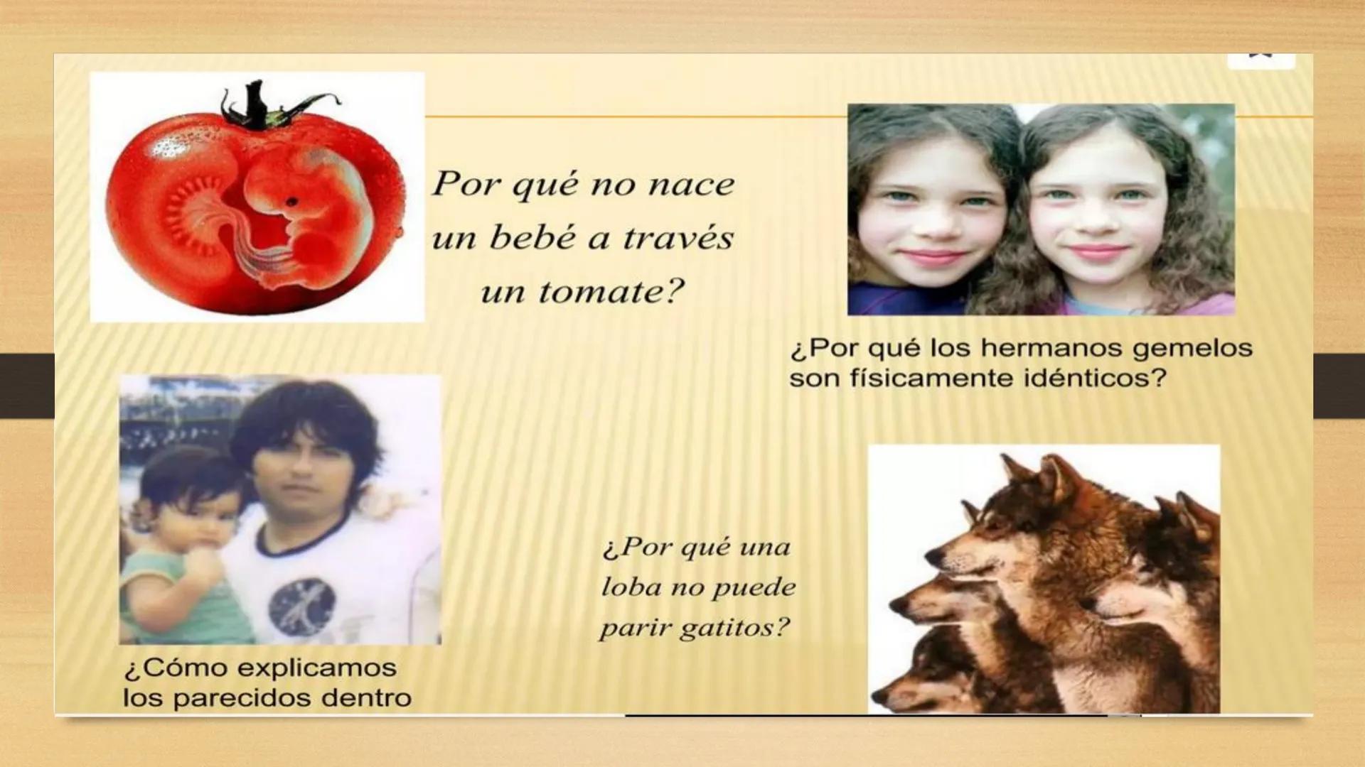 # GENTICA
MSC CLAUDIA YANETH DIAZ
MICROBIOLOGA Por qué no nace
un bebé a través
un tomate?
¿Cómo explicamos
los parecidos dentro
¿Por qué u