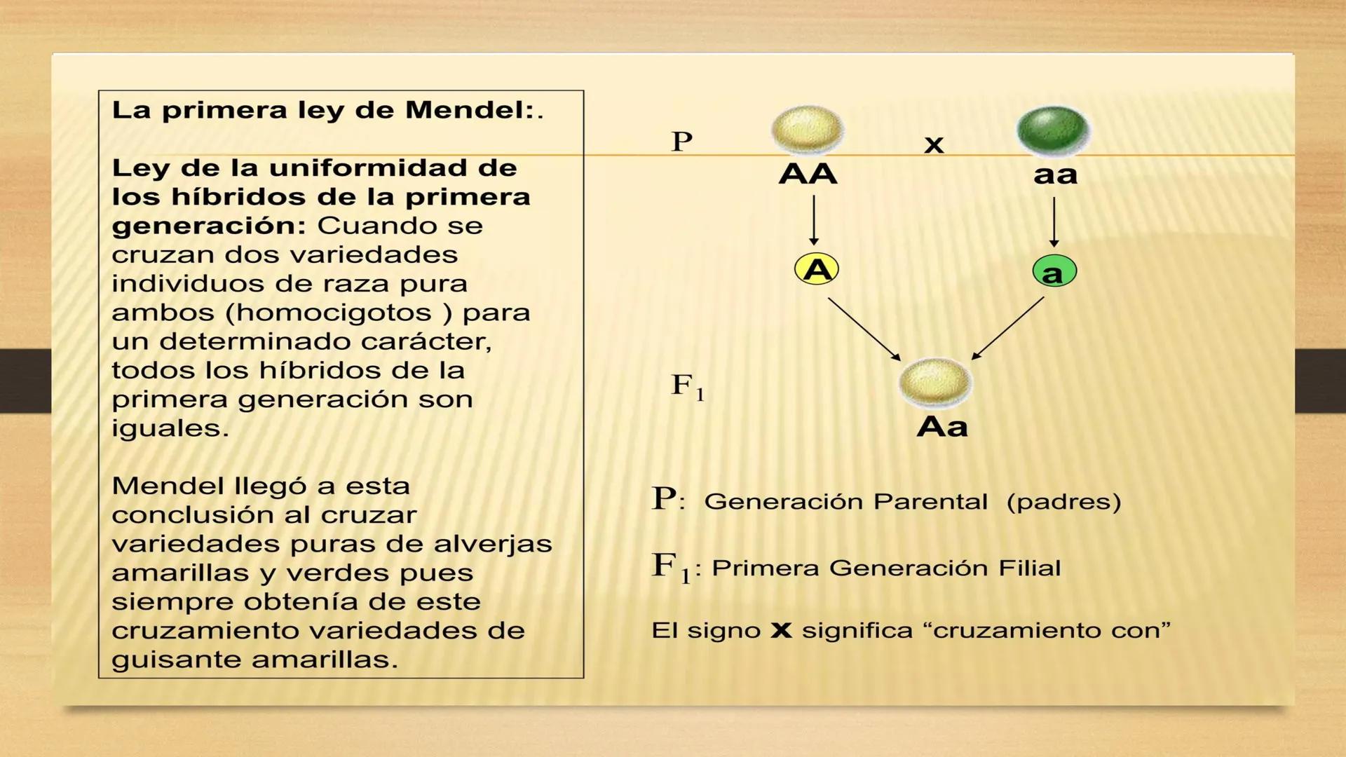 # GENTICA
MSC CLAUDIA YANETH DIAZ
MICROBIOLOGA Por qué no nace
un bebé a través
un tomate?
¿Cómo explicamos
los parecidos dentro
¿Por qué u
