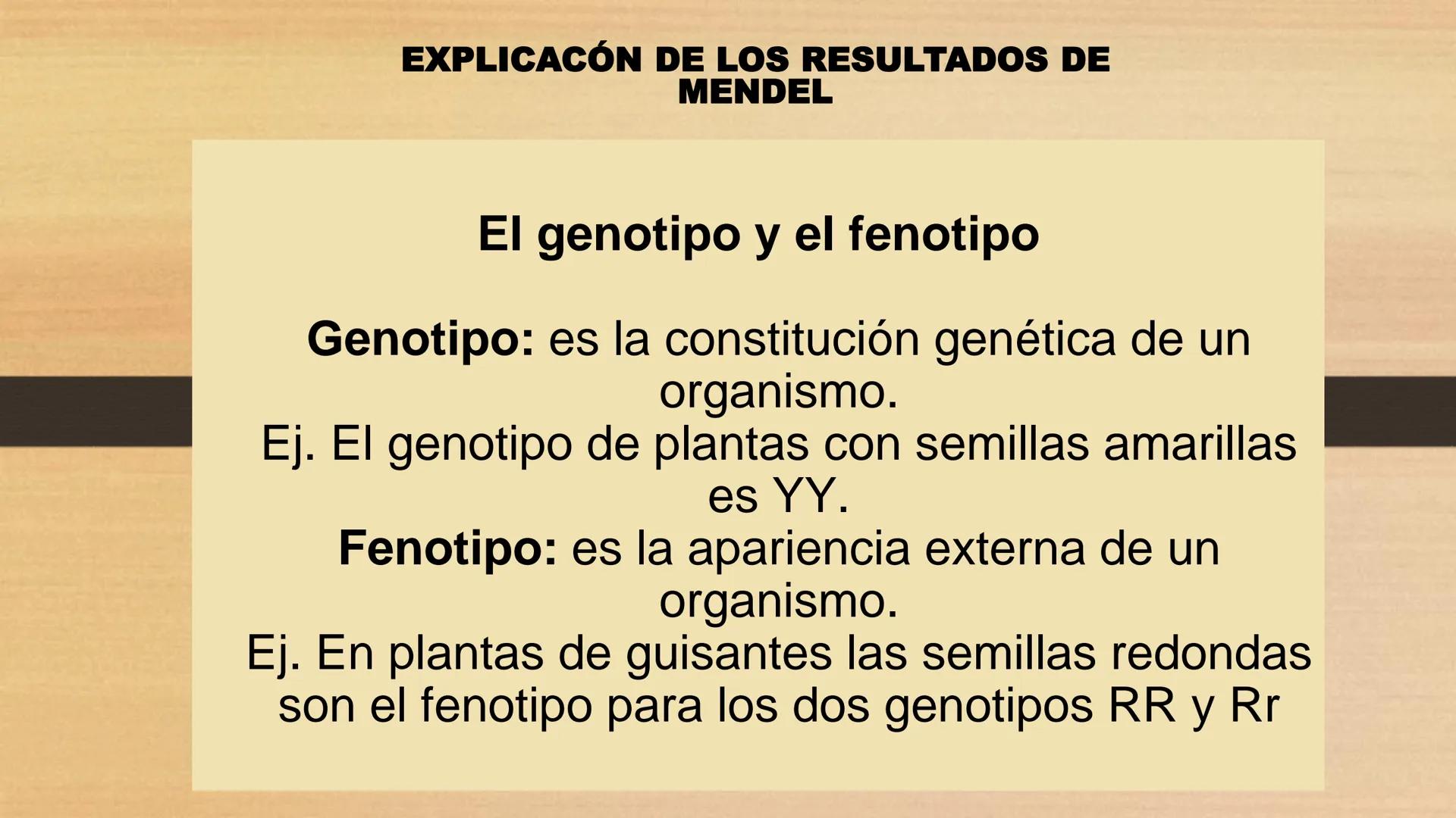 # GENTICA
MSC CLAUDIA YANETH DIAZ
MICROBIOLOGA Por qué no nace
un bebé a través
un tomate?
¿Cómo explicamos
los parecidos dentro
¿Por qué u