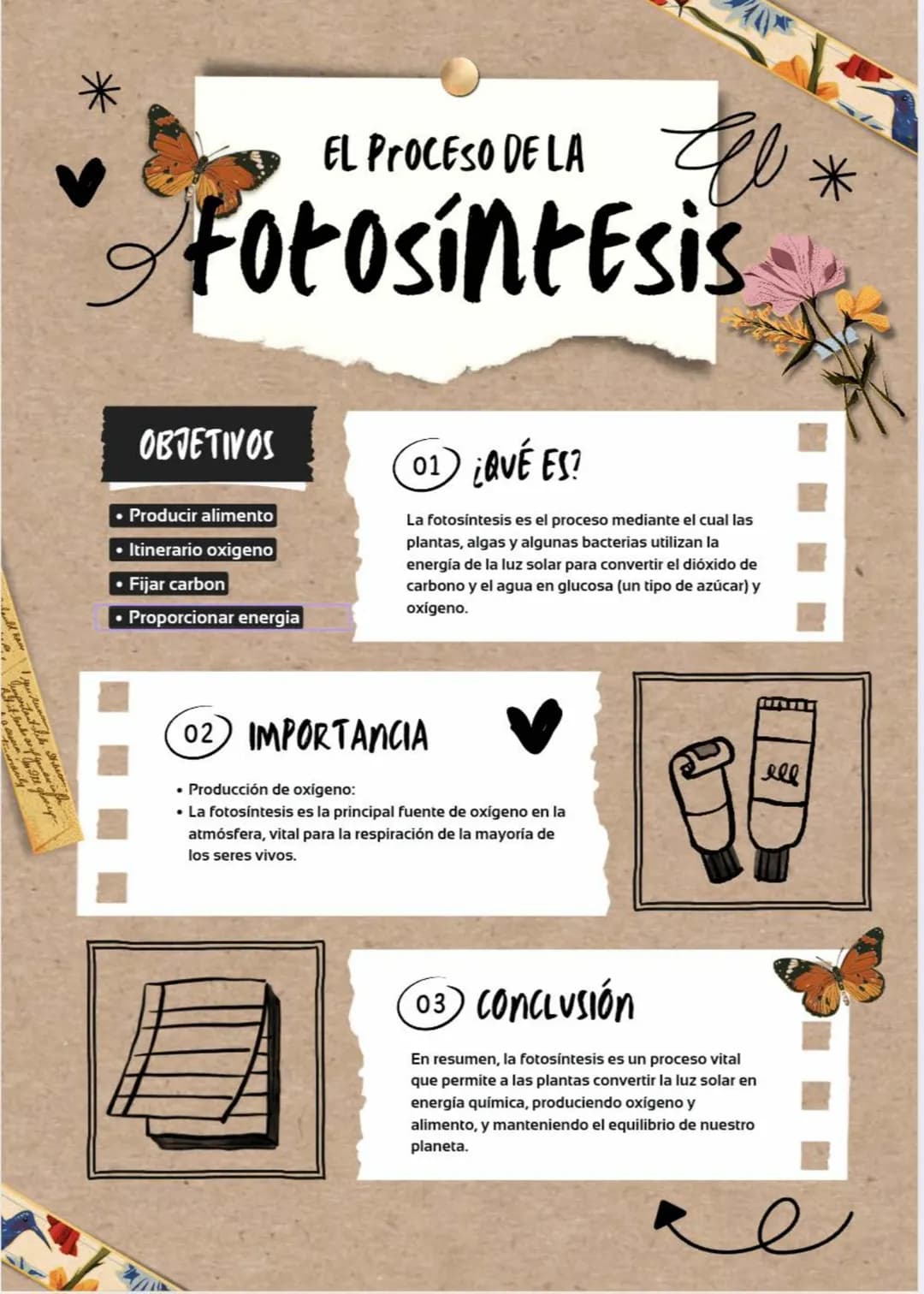 # EL PROCESO DE LA
# FOTOSÍNTESIS
## OBJETIVOS
* Producir alimento
* Itinerario oxígeno
* Fijar carbon
* Proporcionar energía
01 ¿QUÉ ES