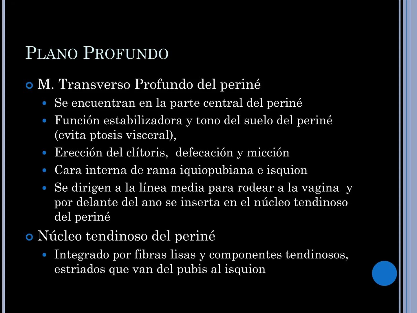 # MUSCULOS DE LA CARA MUSCULO OCCIPITO-FRONTAL
Función: movimiento del
cuero cabelludo.
Junto con el músculo
temporo-occipital se
denomina m