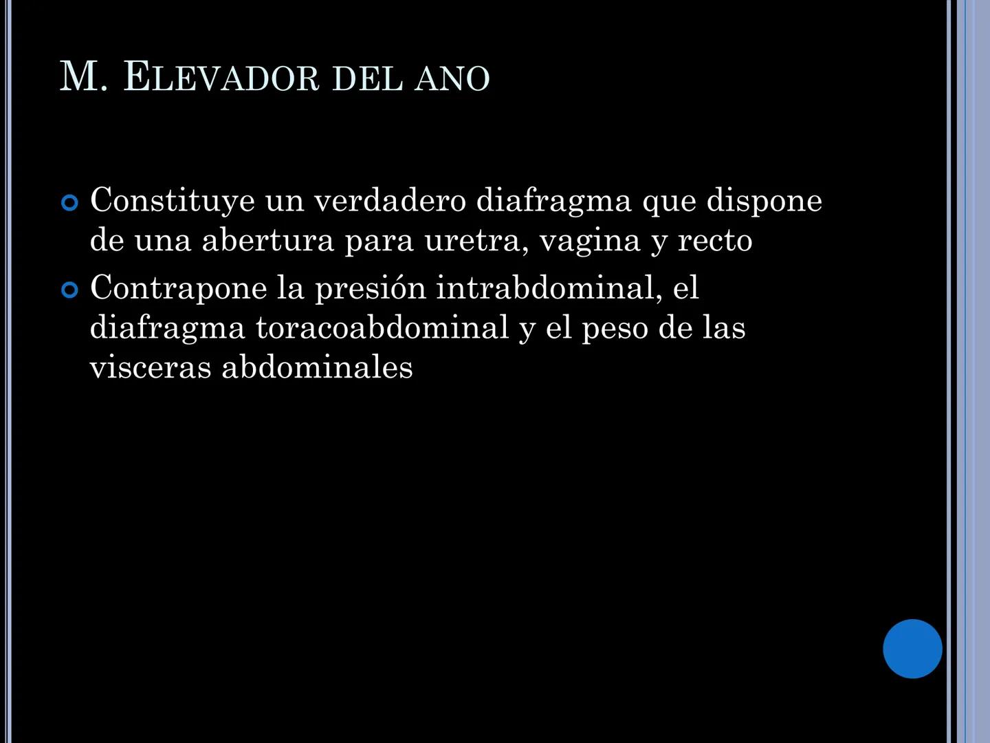 # MUSCULOS DE LA CARA MUSCULO OCCIPITO-FRONTAL
Función: movimiento del
cuero cabelludo.
Junto con el músculo
temporo-occipital se
denomina m
