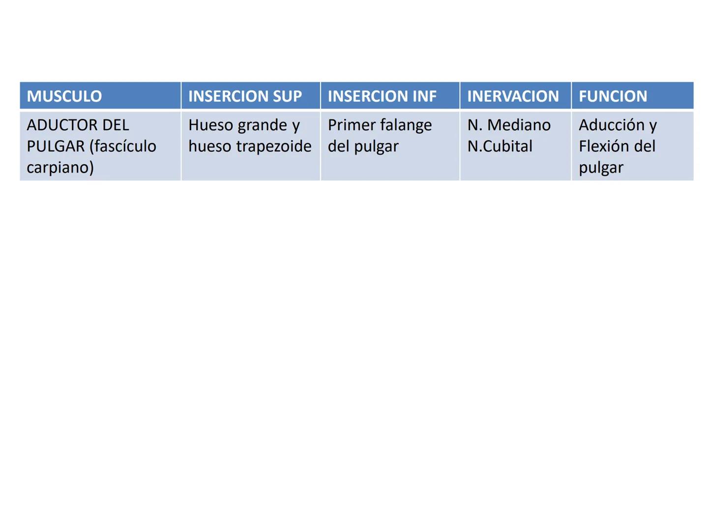 # MUSCULOS DE LA CARA MUSCULO OCCIPITO-FRONTAL
Función: movimiento del
cuero cabelludo.
Junto con el músculo
temporo-occipital se
denomina m