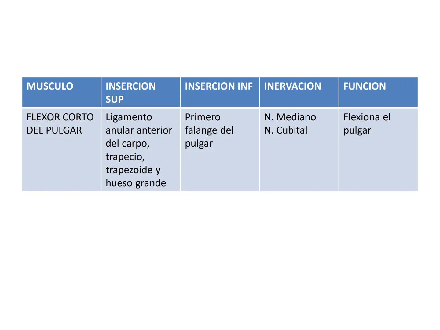# MUSCULOS DE LA CARA MUSCULO OCCIPITO-FRONTAL
Función: movimiento del
cuero cabelludo.
Junto con el músculo
temporo-occipital se
denomina m