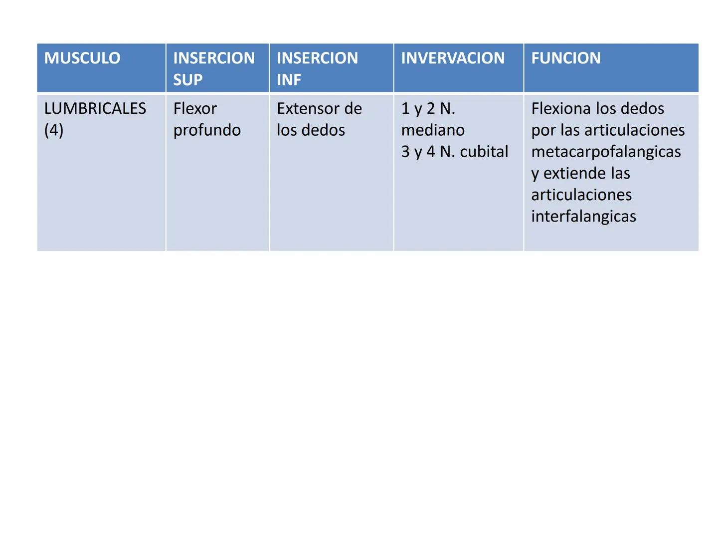 # MUSCULOS DE LA CARA MUSCULO OCCIPITO-FRONTAL
Función: movimiento del
cuero cabelludo.
Junto con el músculo
temporo-occipital se
denomina m