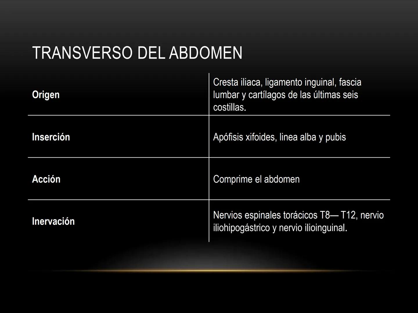 # MUSCULOS DE LA CARA MUSCULO OCCIPITO-FRONTAL
Función: movimiento del
cuero cabelludo.
Junto con el músculo
temporo-occipital se
denomina m