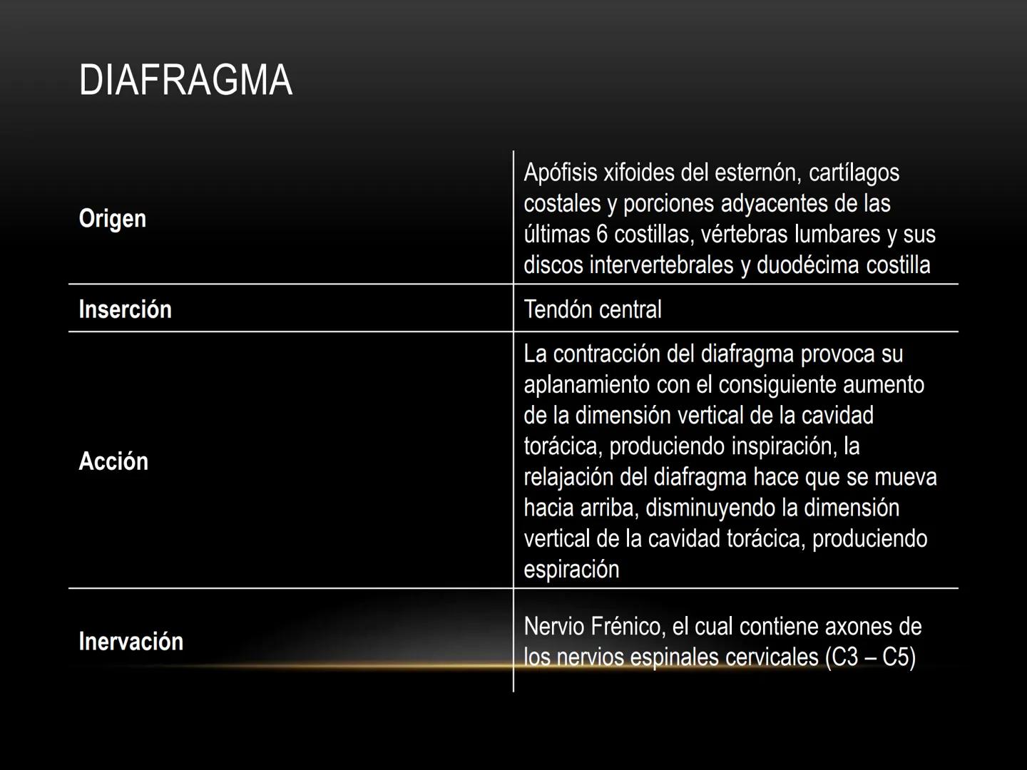 # MUSCULOS DE LA CARA MUSCULO OCCIPITO-FRONTAL
Función: movimiento del
cuero cabelludo.
Junto con el músculo
temporo-occipital se
denomina m
