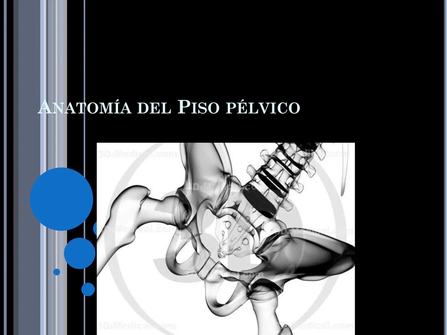 # MUSCULOS DE LA CARA MUSCULO OCCIPITO-FRONTAL
Función: movimiento del
cuero cabelludo.
Junto con el músculo
temporo-occipital se
denomina m