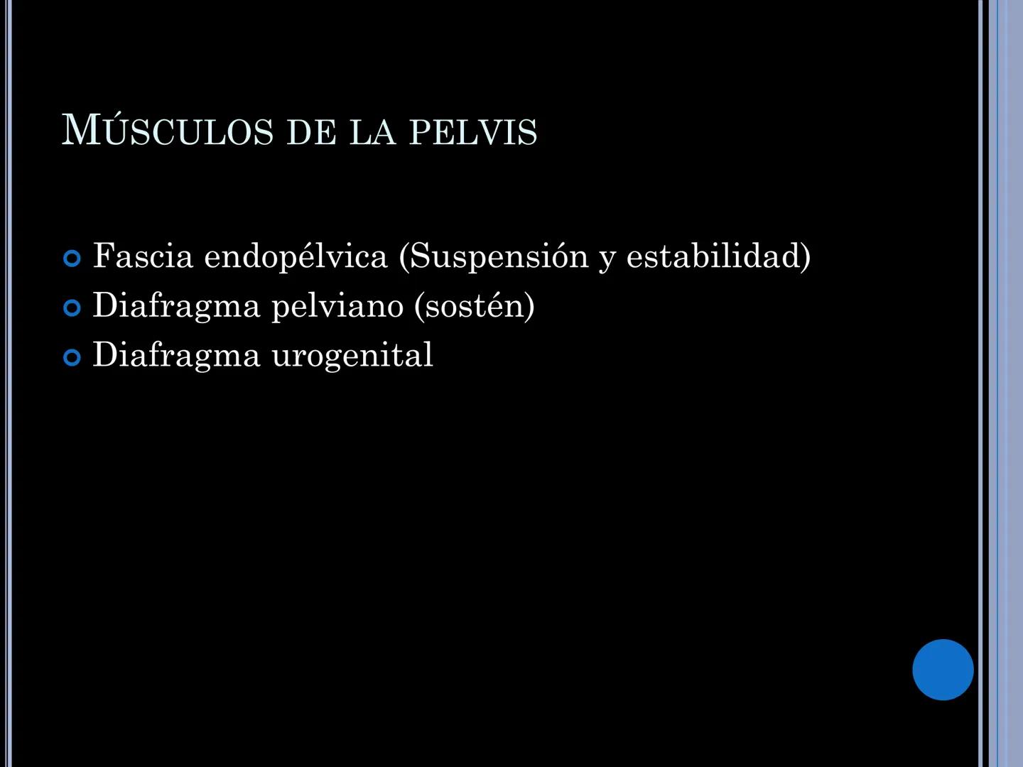 # MUSCULOS DE LA CARA MUSCULO OCCIPITO-FRONTAL
Función: movimiento del
cuero cabelludo.
Junto con el músculo
temporo-occipital se
denomina m