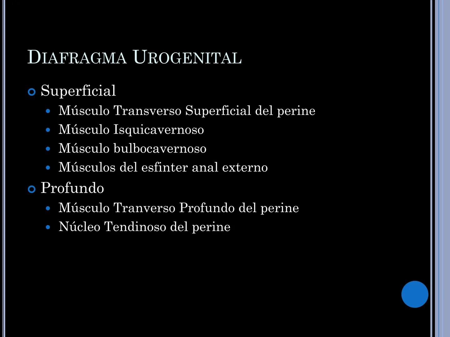 # MUSCULOS DE LA CARA MUSCULO OCCIPITO-FRONTAL
Función: movimiento del
cuero cabelludo.
Junto con el músculo
temporo-occipital se
denomina m
