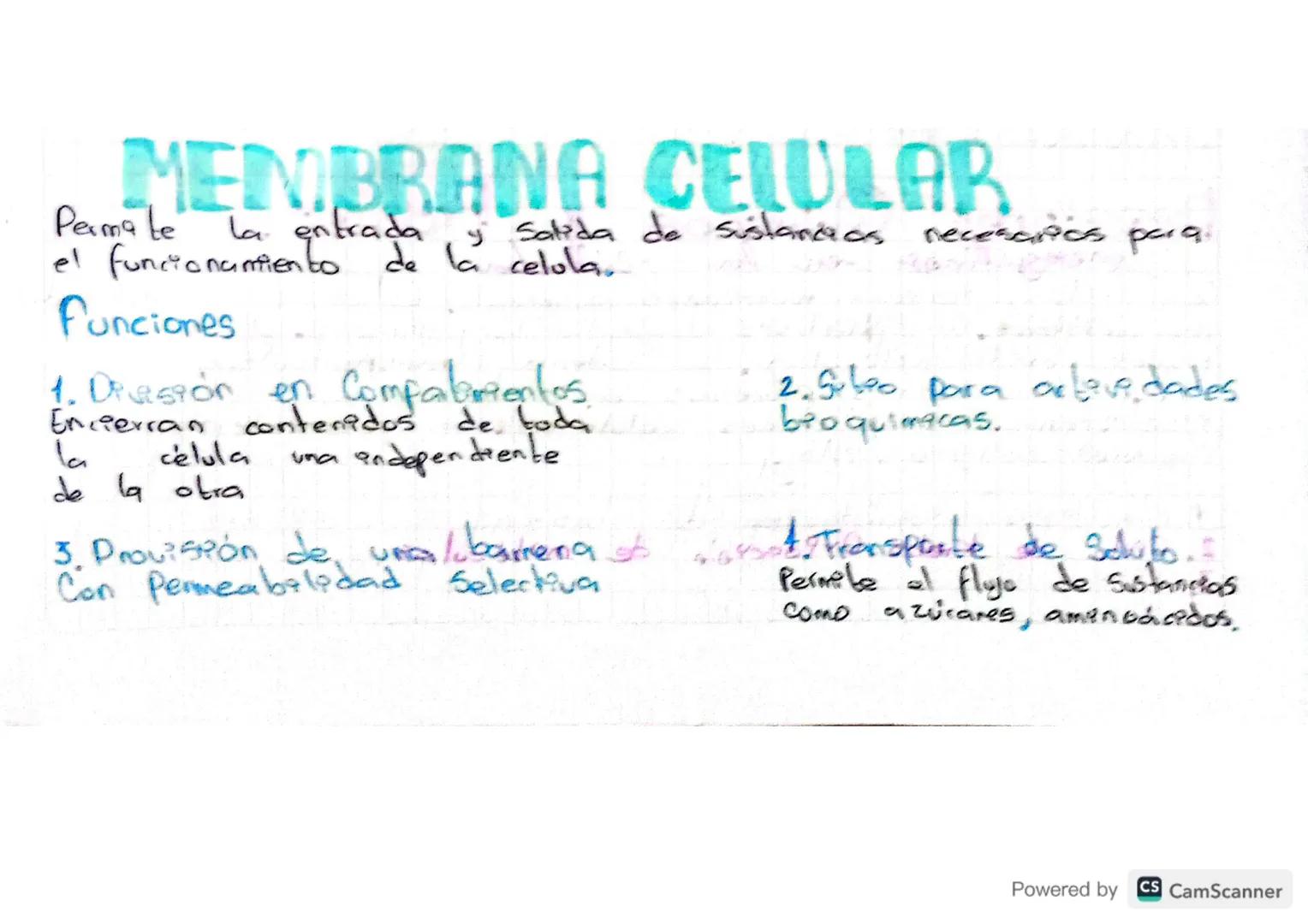 MEMBRANA CELULAR
• Permite la entrada y salida de sustancias necesarios para
el funcionamiento de la celula.
Funciones
1. División en Compar
