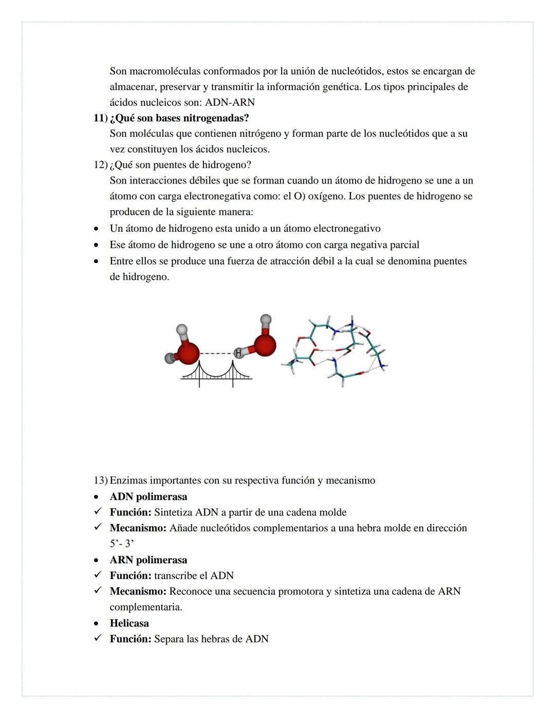 BIOLOGIA MOLECULAR CONCEPTOS
FUNDAMENTALES PARA PRINCIPIANTES
1. ¿Qué es la biología?
Ciencia que estudia los flujos de información genética