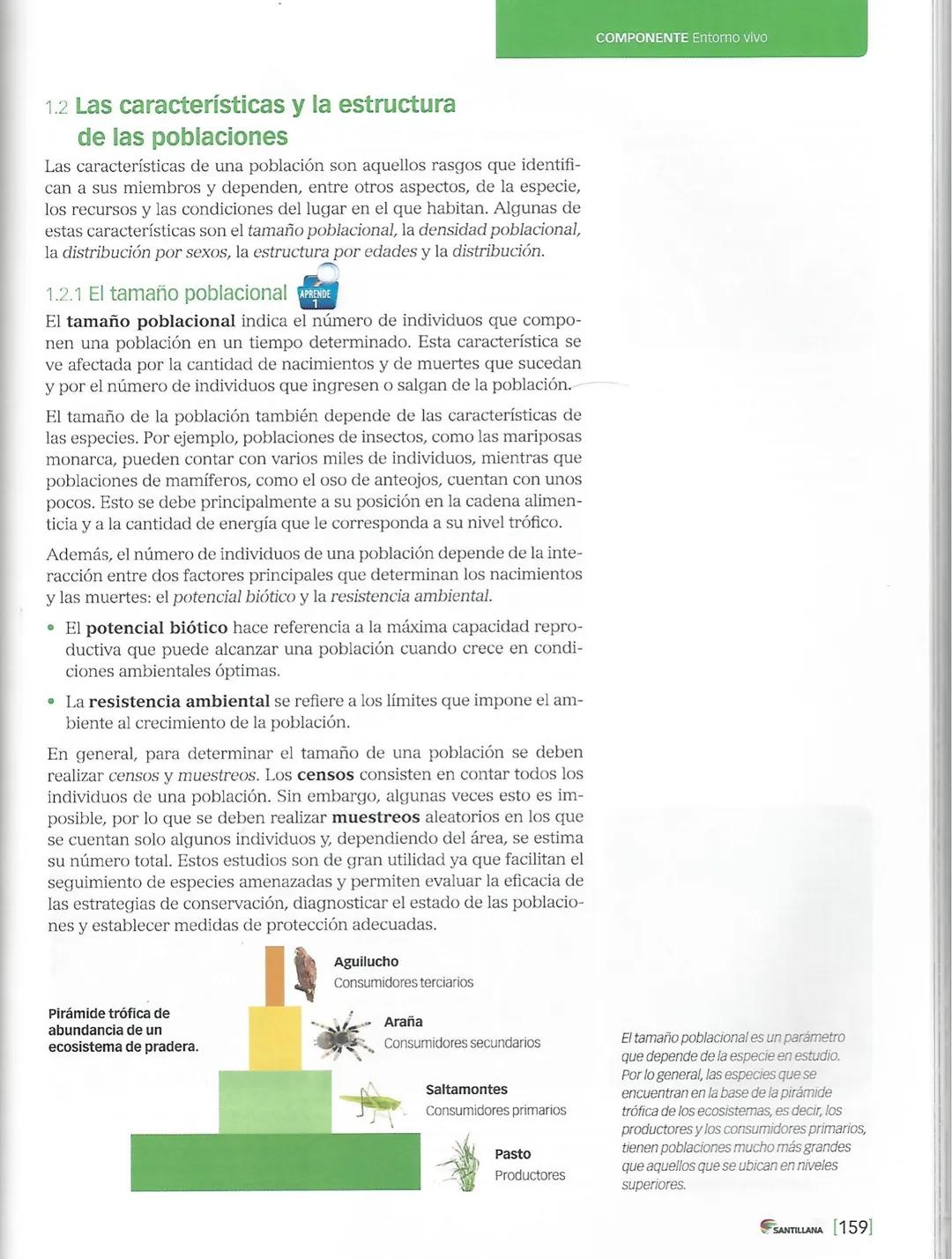 1. Las poblaciones
ACTIVIDADES
INTERPRETAR
Observa las siguientes imágenes y marca con un ✓ la que representa una población
de organismos. J