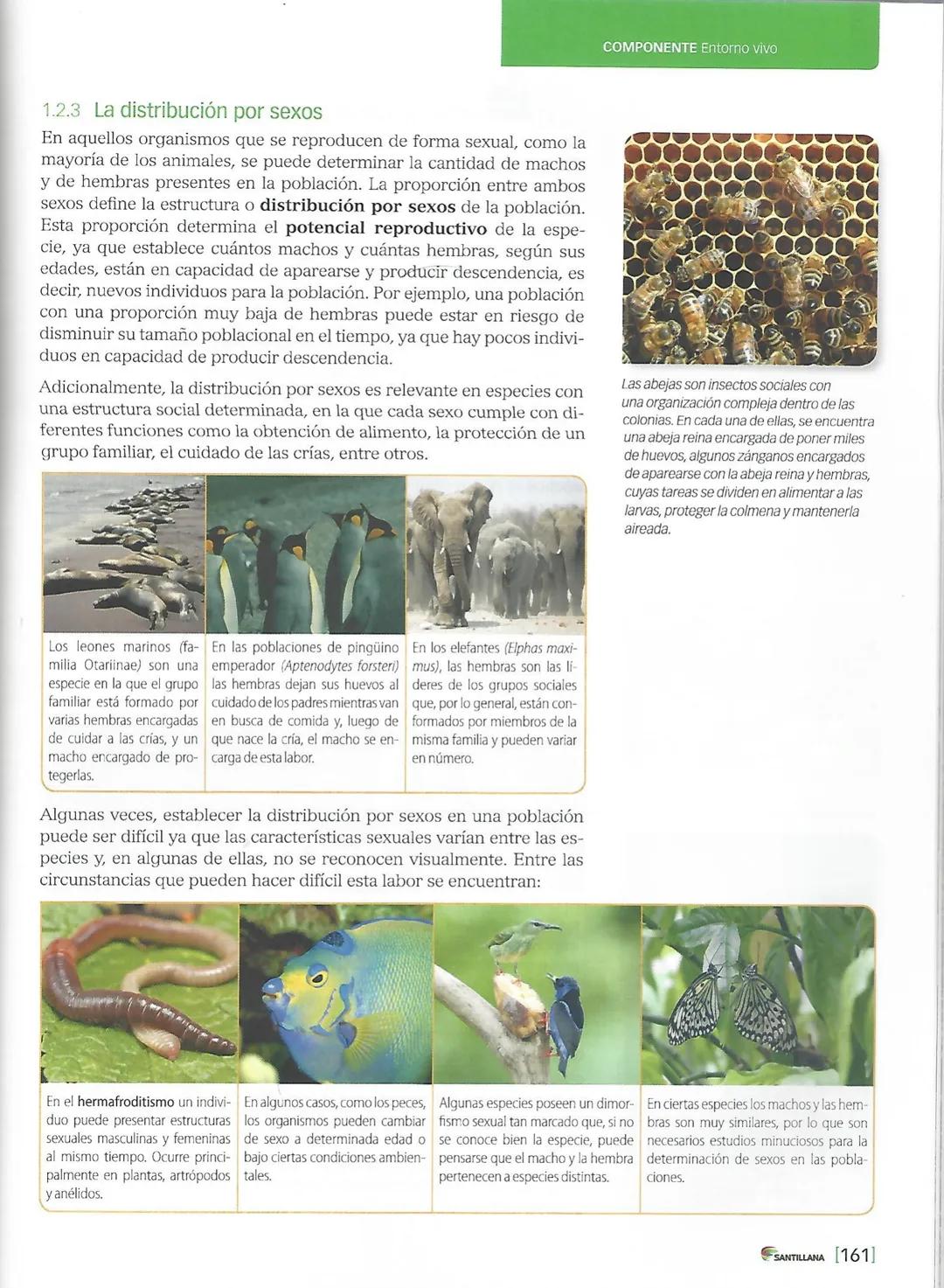 1. Las poblaciones
ACTIVIDADES
INTERPRETAR
Observa las siguientes imágenes y marca con un ✓ la que representa una población
de organismos. J