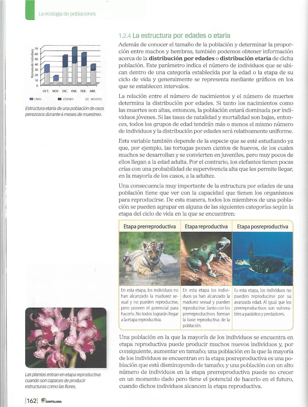 1. Las poblaciones
ACTIVIDADES
INTERPRETAR
Observa las siguientes imágenes y marca con un ✓ la que representa una población
de organismos. J