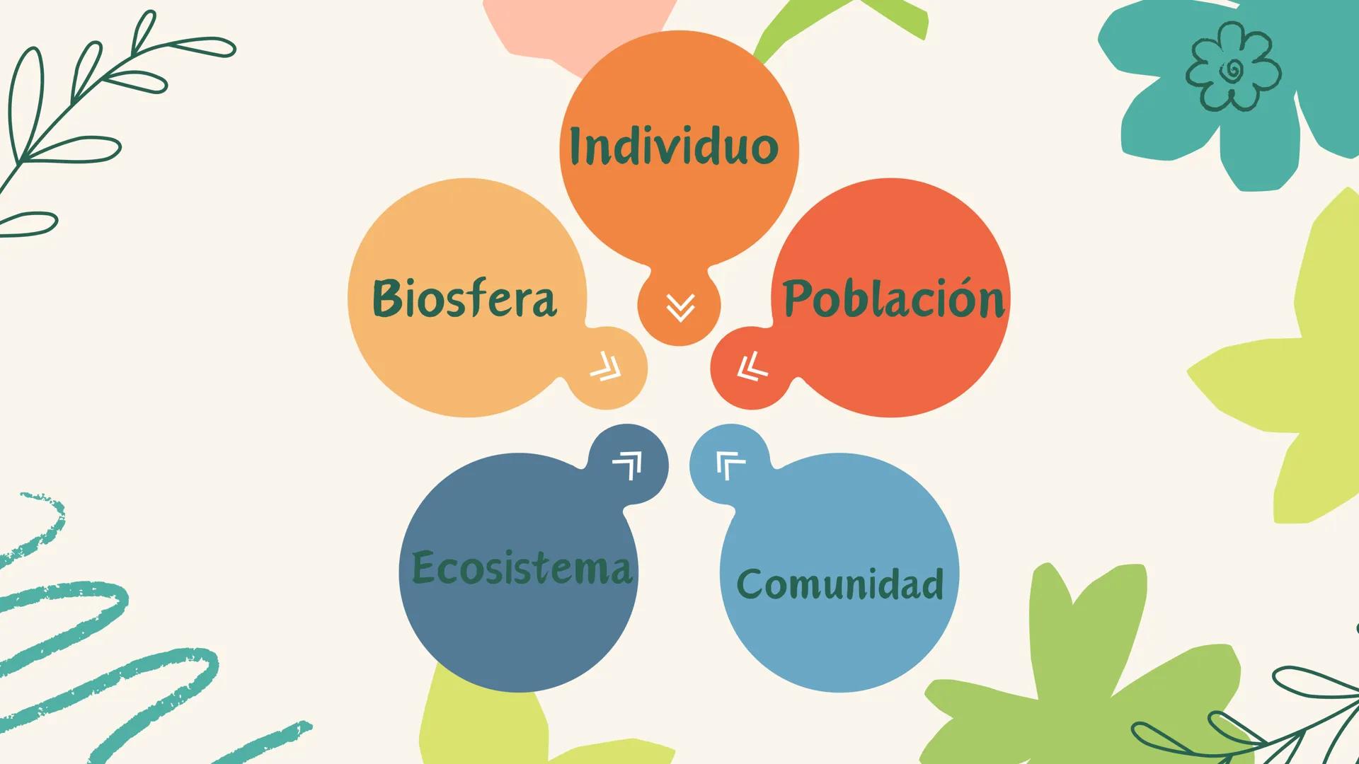 ECOLOGÍA Y MEDIO
AMBIENTE
Keisha Henao, Yuliana Martínez, Laura Jiménez,
Camila Durán, Steven Maestre ¿Qué es la
ecología?
Es la ciencia que