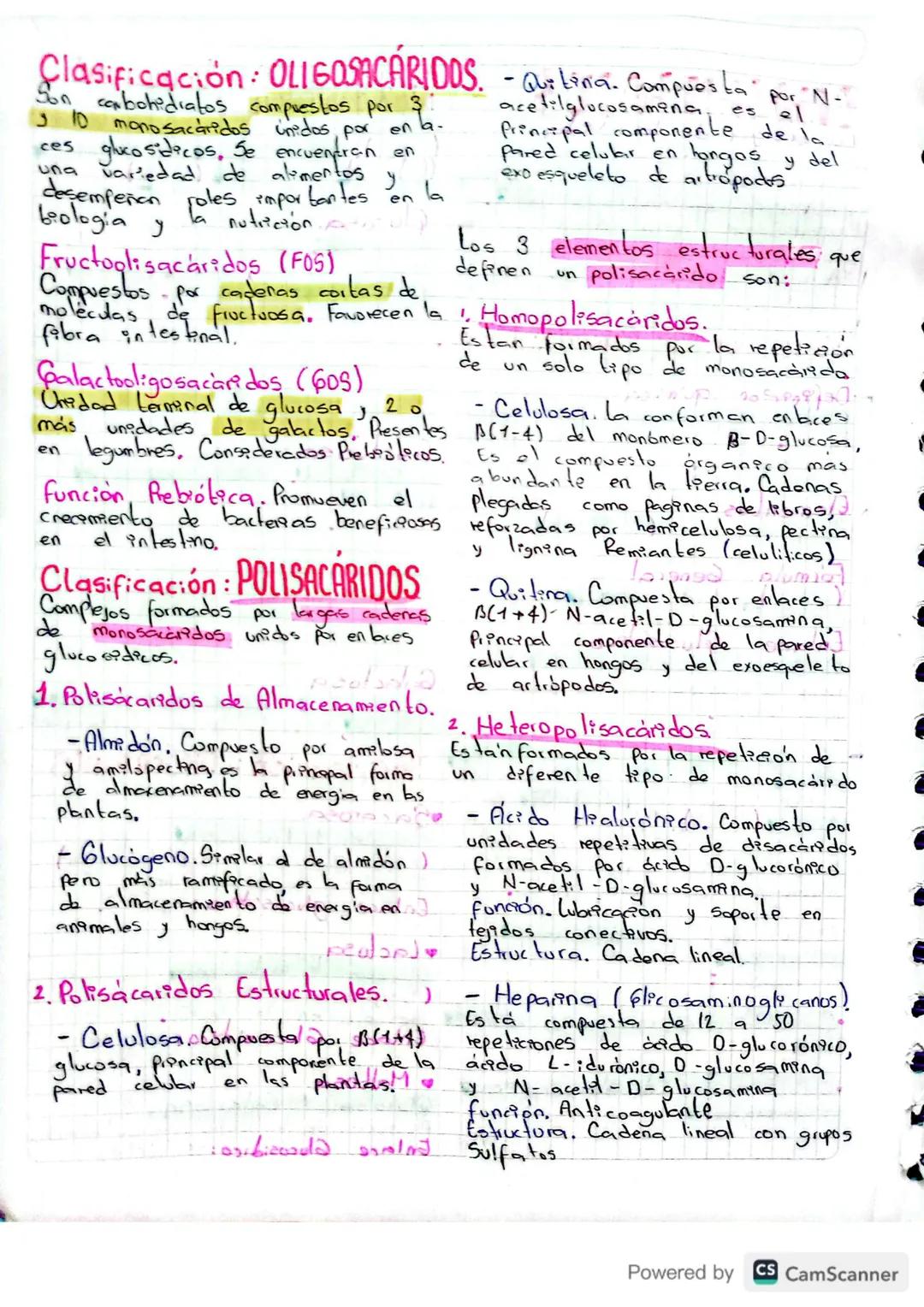 gleco-Carbohidalo
glucolisis descompone la alweal
CARBOHIDRATOS
La energia de la vida
Celulosa - tipo de Carbohidrato
Clasificacions Princip