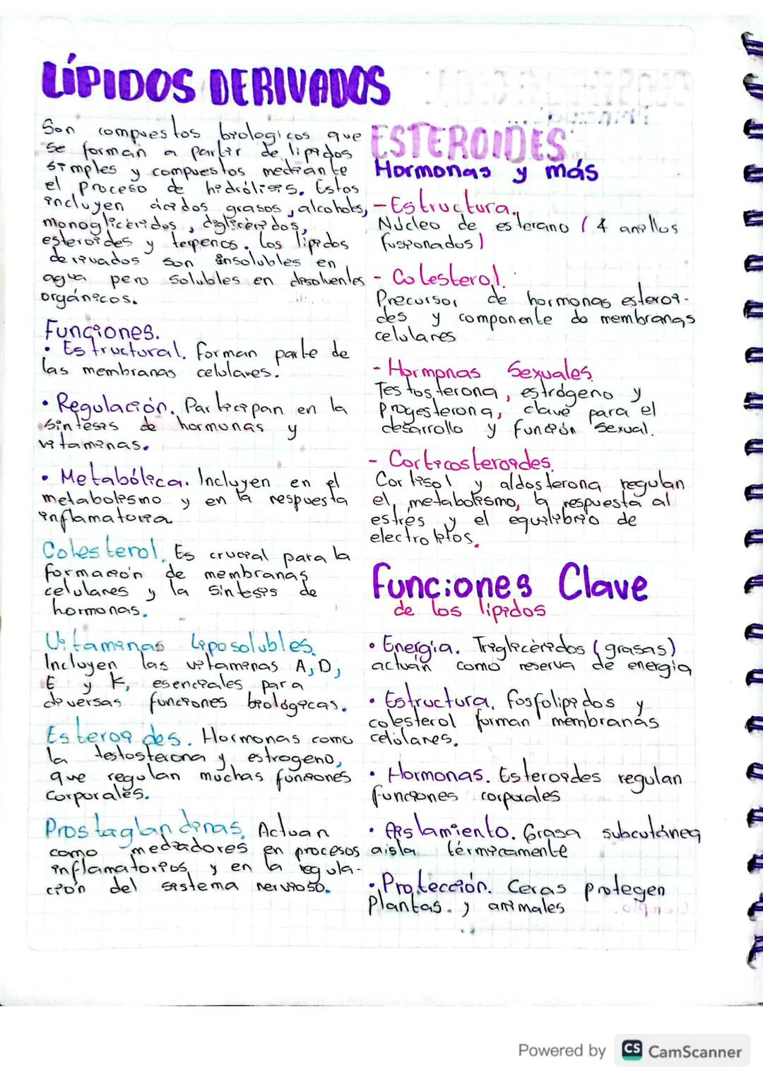 LIPIDOS
¿Qué son los Lipidos?
- Insolubles en agua. Son
moléculas orgánicas hidrofó-
bacas, es decir, no se
disuelven en agua.
- Composición
