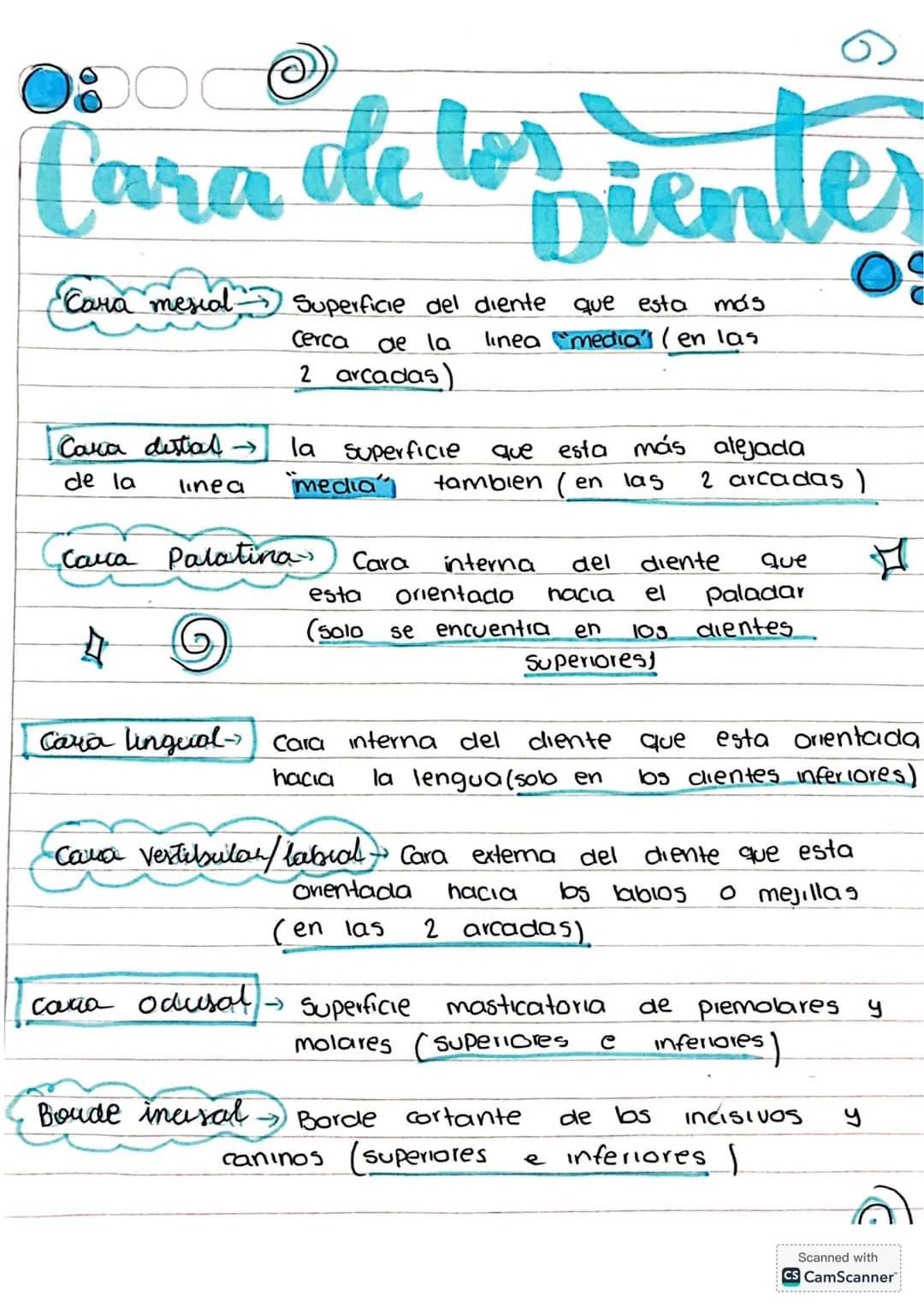 --- OCR Start ---
Cara de los Dientes
Cara mesial → Superficie del diente que esta más
cerca de la linea "media" (en las
2 arcadas)
Cara dis