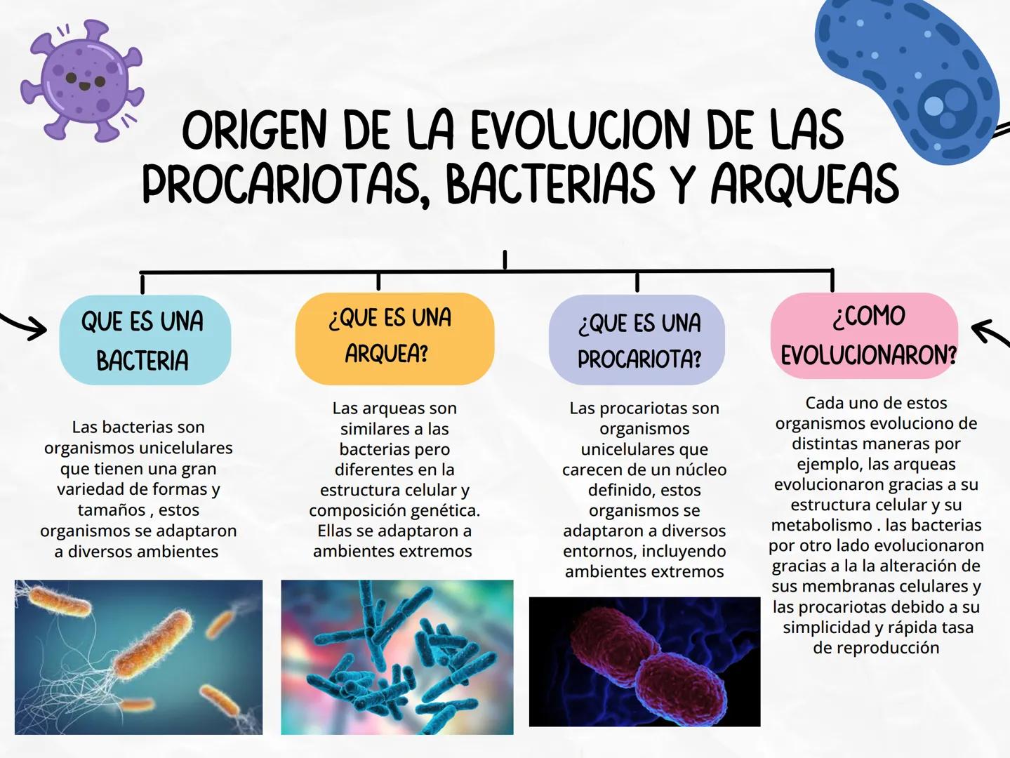 ORIGEN DE LA EVOLUCION DE LAS
PROCARIOTAS, BACTERIAS Y ARQUEAS
QUE ES UNA
BACTERIA
¿QUE ES UNA
ARQUEA?
¿QUE ES UNA
PROCARIOTA?
¿COMO
EVOLUCI