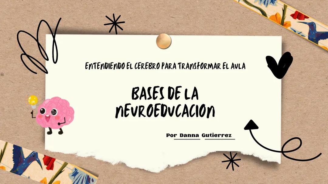 Bases de la neuroeducación