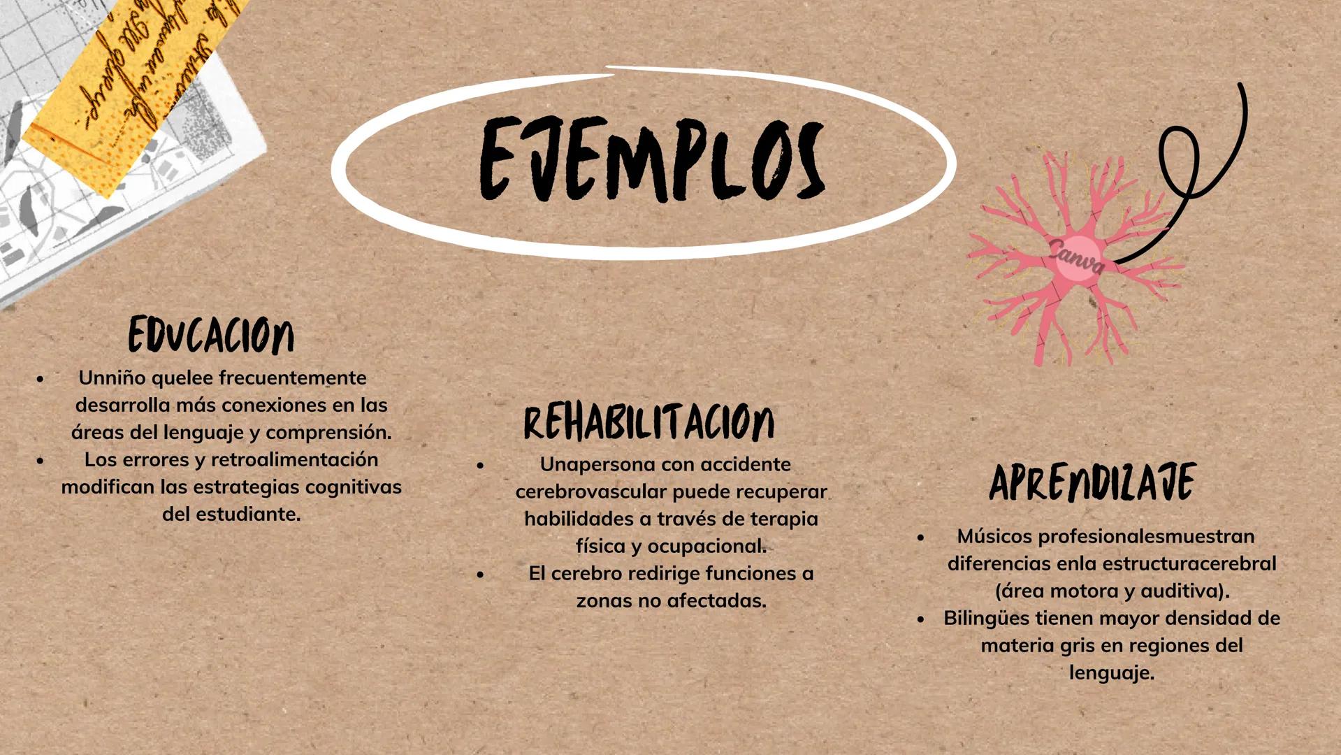 --- OCR Start ---
*ENTENDIENDO EL CEREBRO PARA TRANSFORMAR EL AVLA
BASES DE LA
NEUROEDUCACION
Por Danna Gutierrez
--- OCR End --- Canva