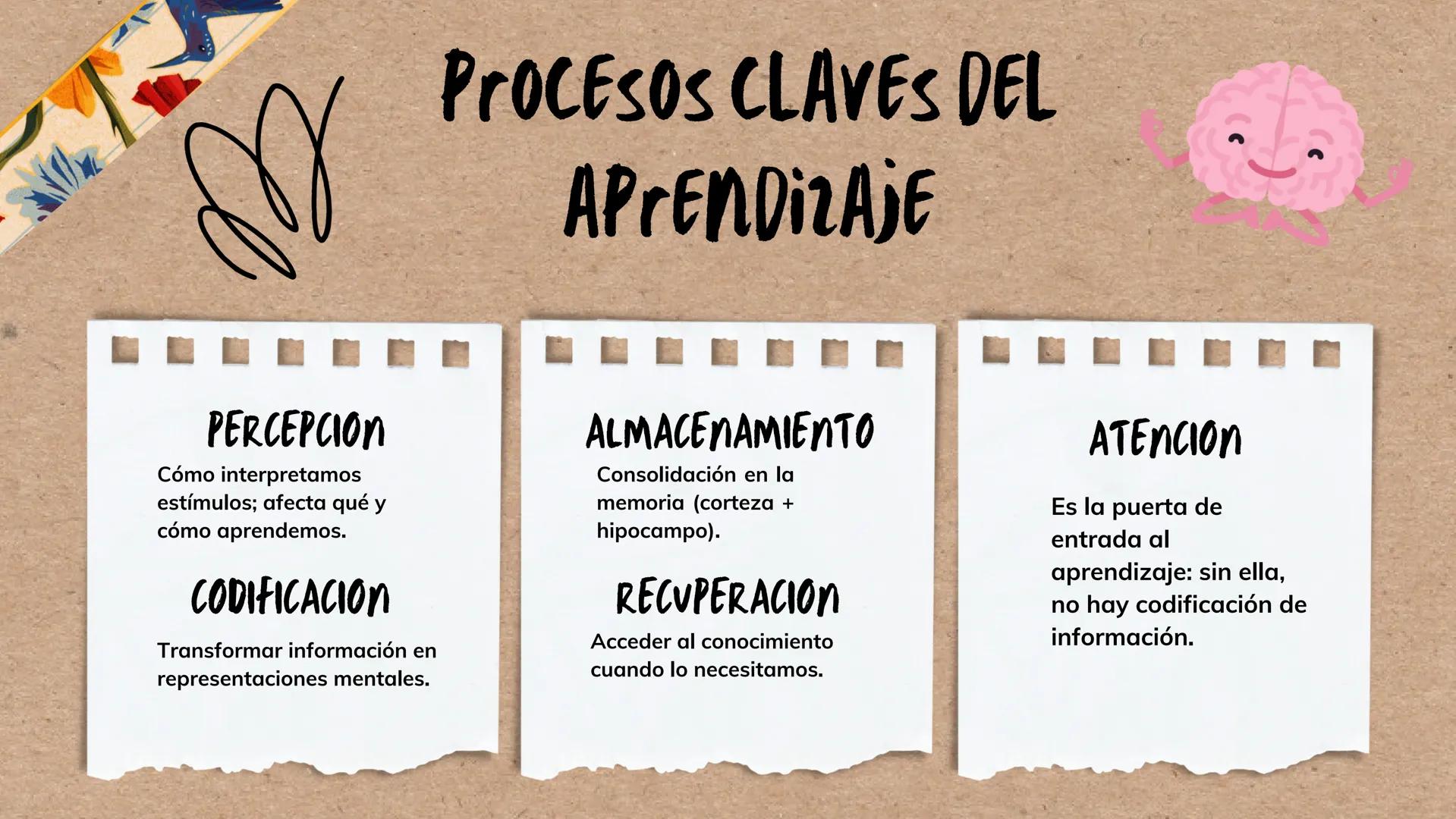 --- OCR Start ---
*ENTENDIENDO EL CEREBRO PARA TRANSFORMAR EL AVLA
BASES DE LA
NEUROEDUCACION
Por Danna Gutierrez
--- OCR End --- Canva