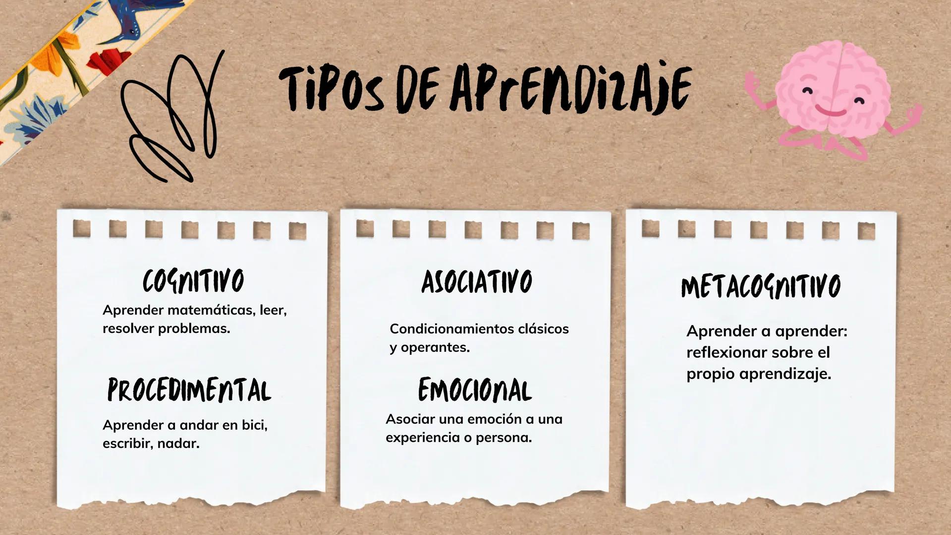 --- OCR Start ---
*ENTENDIENDO EL CEREBRO PARA TRANSFORMAR EL AVLA
BASES DE LA
NEUROEDUCACION
Por Danna Gutierrez
--- OCR End --- Canva