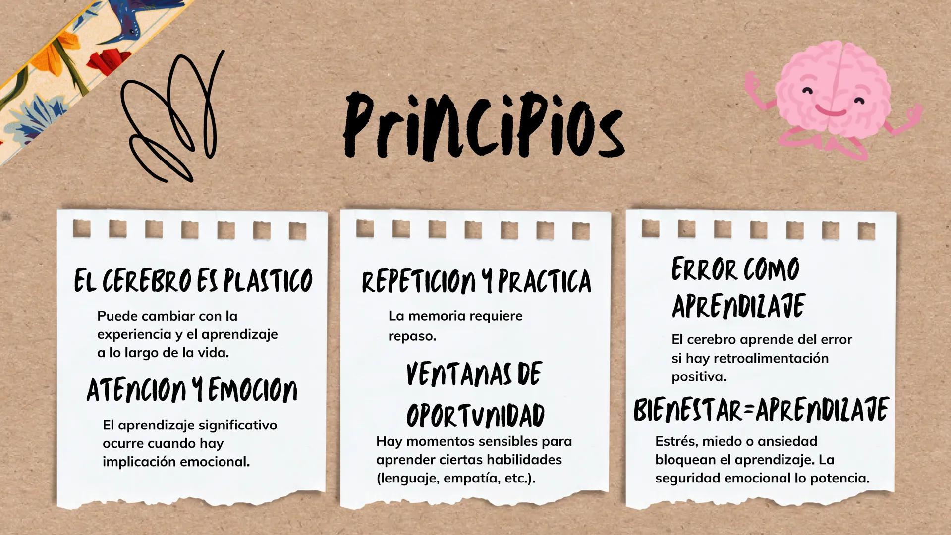 --- OCR Start ---
*ENTENDIENDO EL CEREBRO PARA TRANSFORMAR EL AVLA
BASES DE LA
NEUROEDUCACION
Por Danna Gutierrez
--- OCR End --- Canva