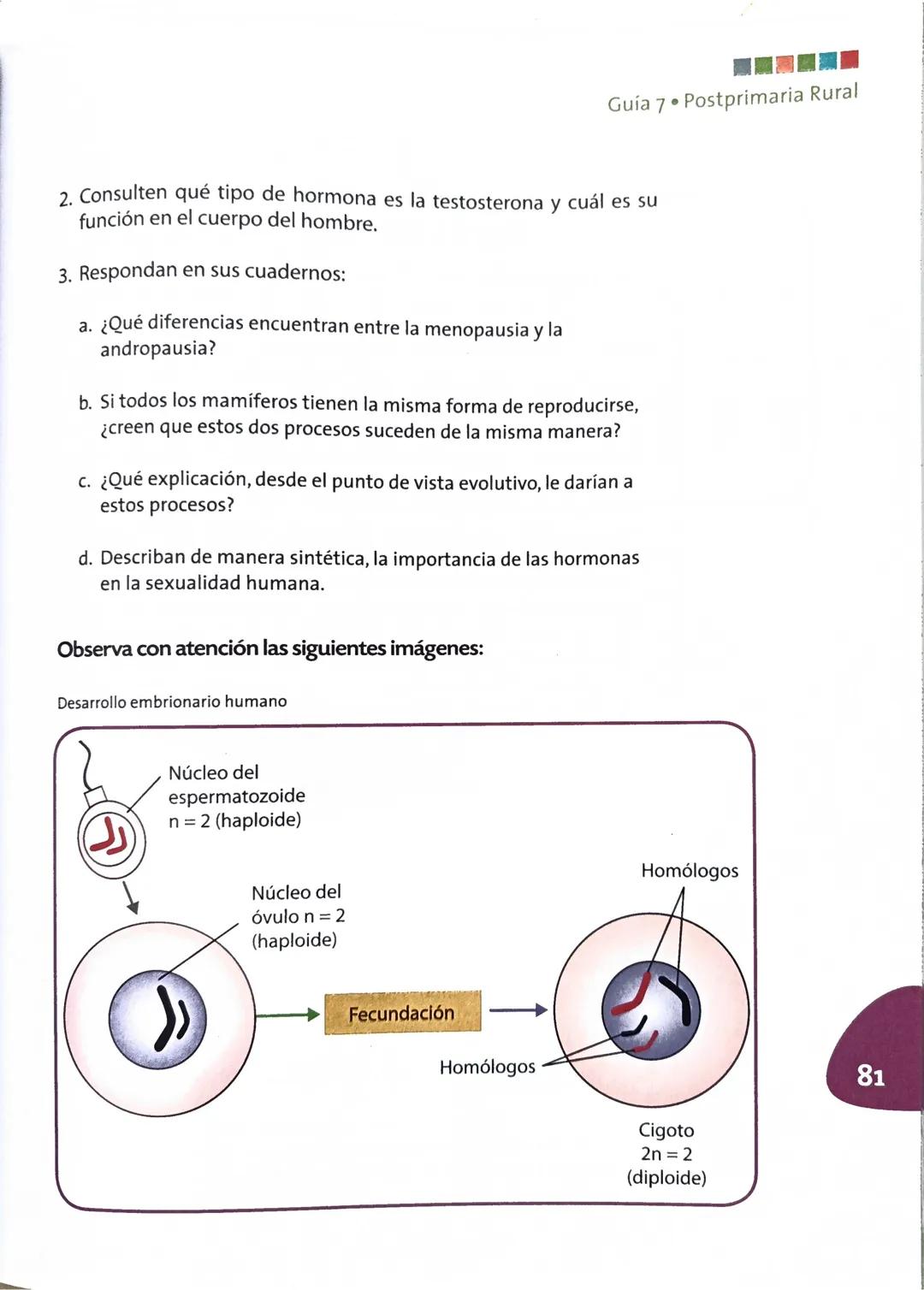 Guía 7
¿Qué sustancias regulan la reproducción?
Acciones de pensamiento:
Establezco relación entre el ciclo menstrual y la reproducción huma