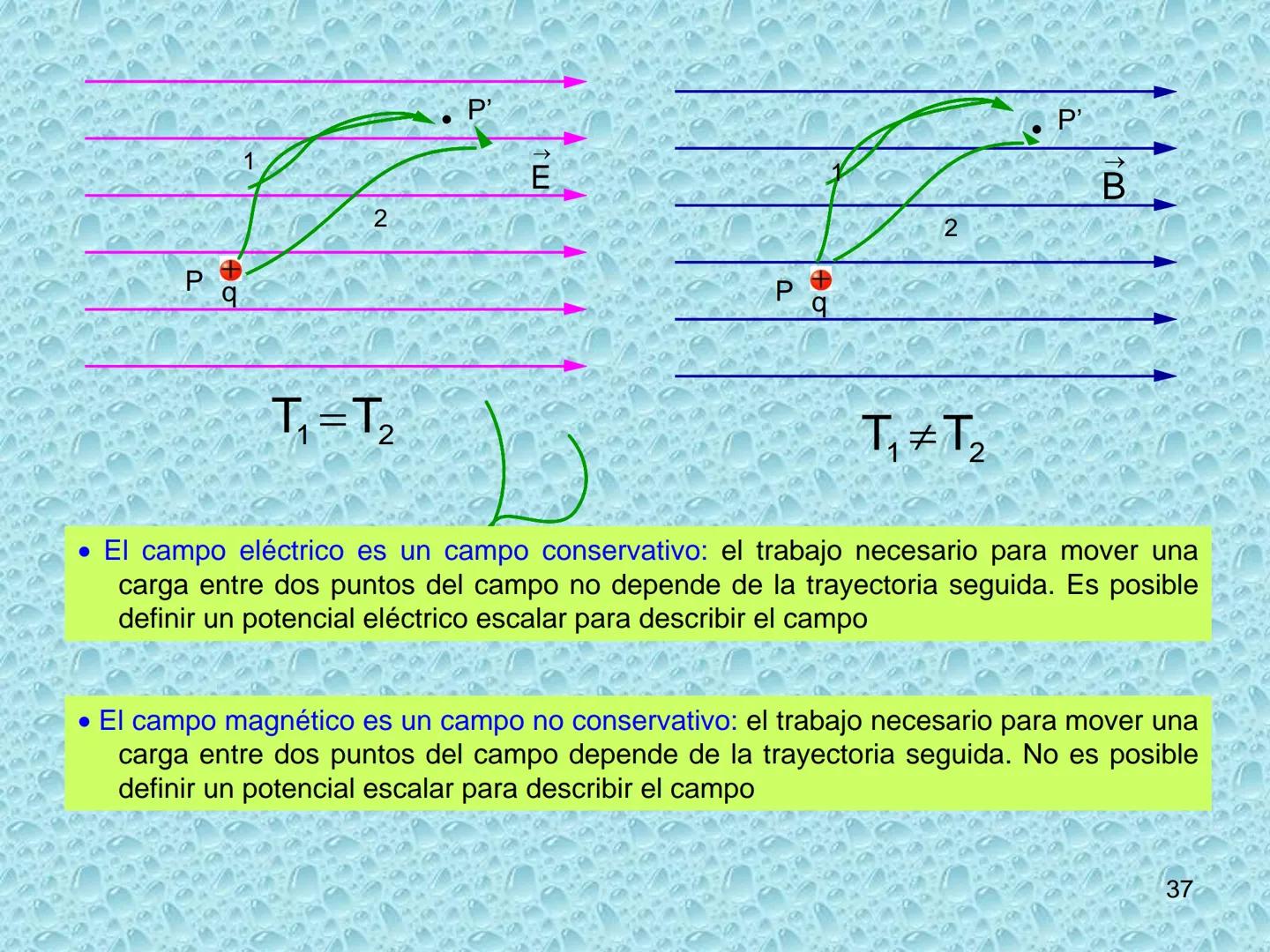# ELECTROMAGNETISMO
1 MAGNETISMO E IMANES
• Sustancias magnéticas: aquellas que son atraídas por la magnetita. Pueden convertirse
en imanes