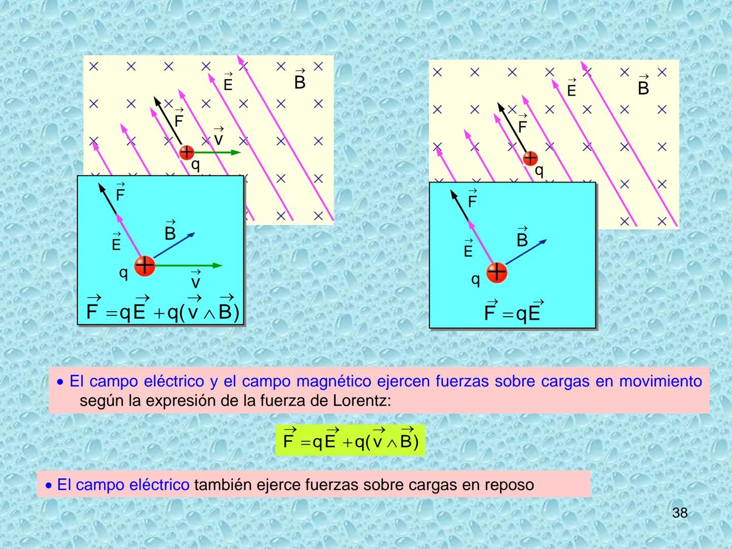 # ELECTROMAGNETISMO
1 MAGNETISMO E IMANES
• Sustancias magnéticas: aquellas que son atraídas por la magnetita. Pueden convertirse
en imanes