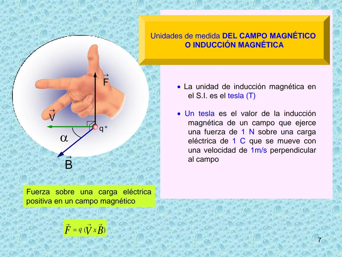 # ELECTROMAGNETISMO
1 MAGNETISMO E IMANES
• Sustancias magnéticas: aquellas que son atraídas por la magnetita. Pueden convertirse
en imanes