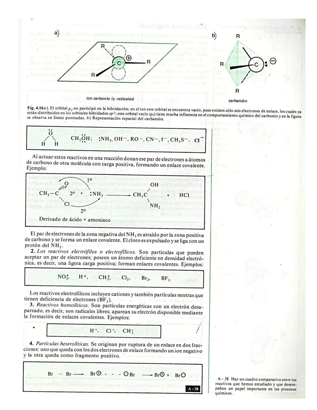 # Institución Educativa Municipal Ciudad de Pasto
ÁREA CIENCIAS NATURALES - QUÍMICA
DOCENTE NIDIA CÁRDENAS E
4
# Los
# compuestos orgánic