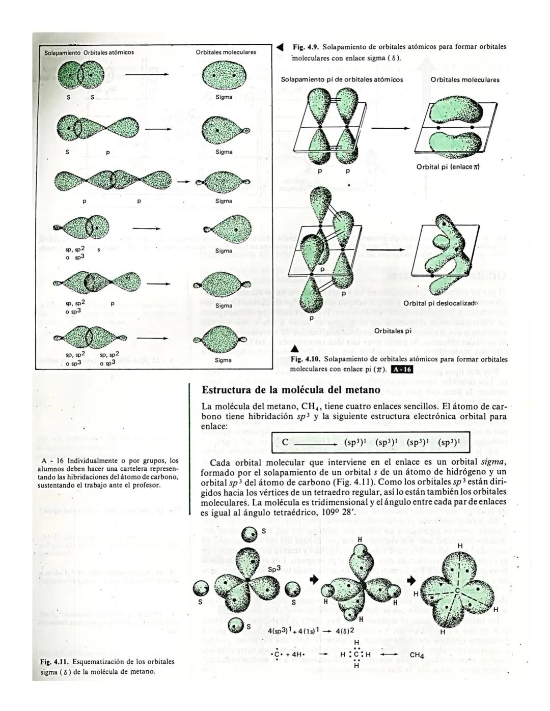 # Institución Educativa Municipal Ciudad de Pasto
ÁREA CIENCIAS NATURALES - QUÍMICA
DOCENTE NIDIA CÁRDENAS E
4
# Los
# compuestos orgánic