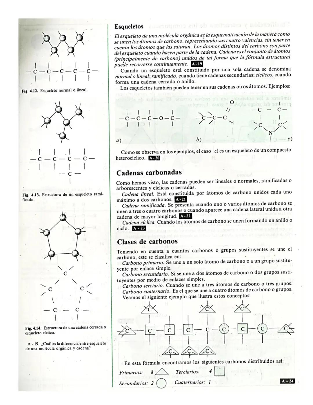 # Institución Educativa Municipal Ciudad de Pasto
ÁREA CIENCIAS NATURALES - QUÍMICA
DOCENTE NIDIA CÁRDENAS E
4
# Los
# compuestos orgánic