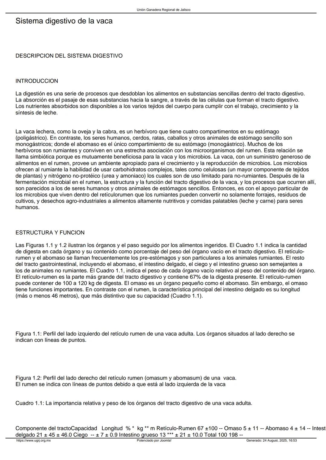 Sistema digestivo en bovino